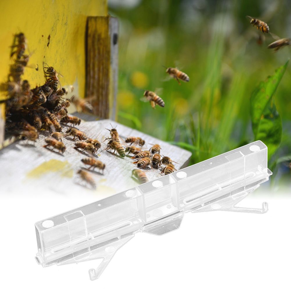20pcs Small Hives Beetle Trap Broodlings Collector Plastic Portable Beekeeping view 10