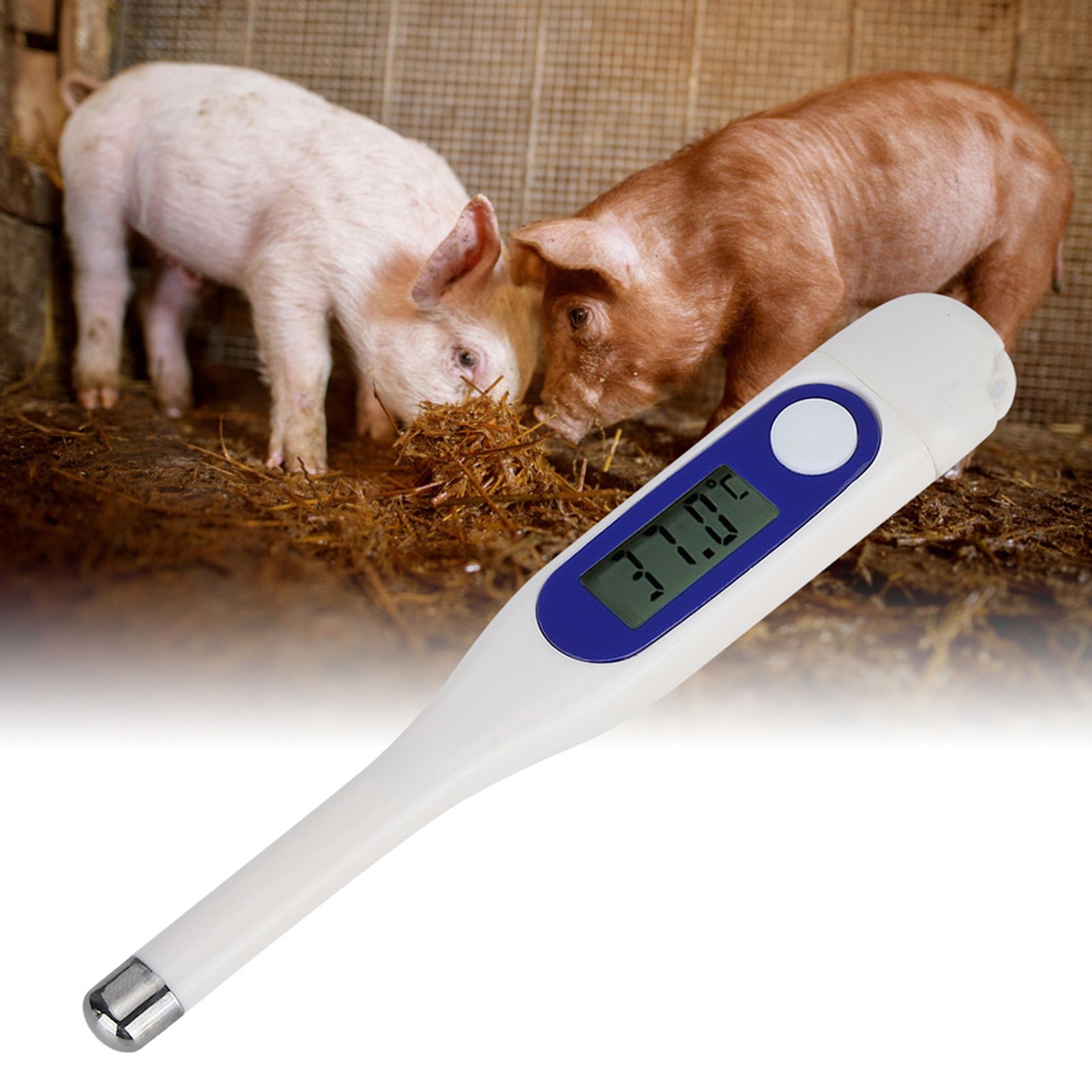 Veterinary Electronic Thermometer LCD Digital Animal Thermometer for Cattle view 10