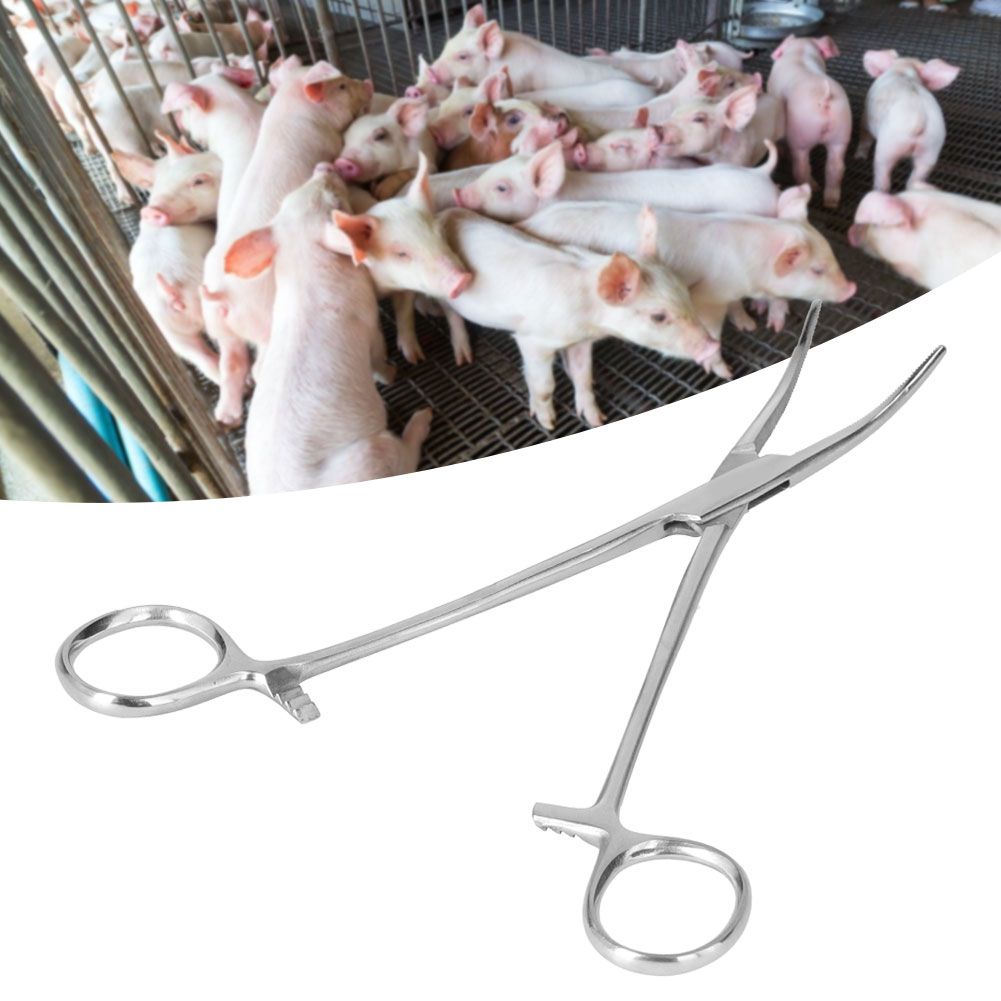 Surgical Haemostatic Hemostatic Forceps Stainless Steel Pliers Pet Hair view 9