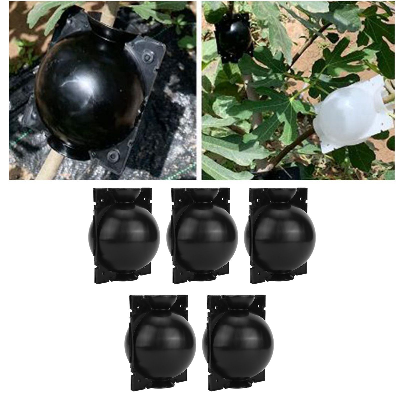 5Set Reusable Plant Rooting Device Grafting Reproduction Growing Box Gardening view 9
