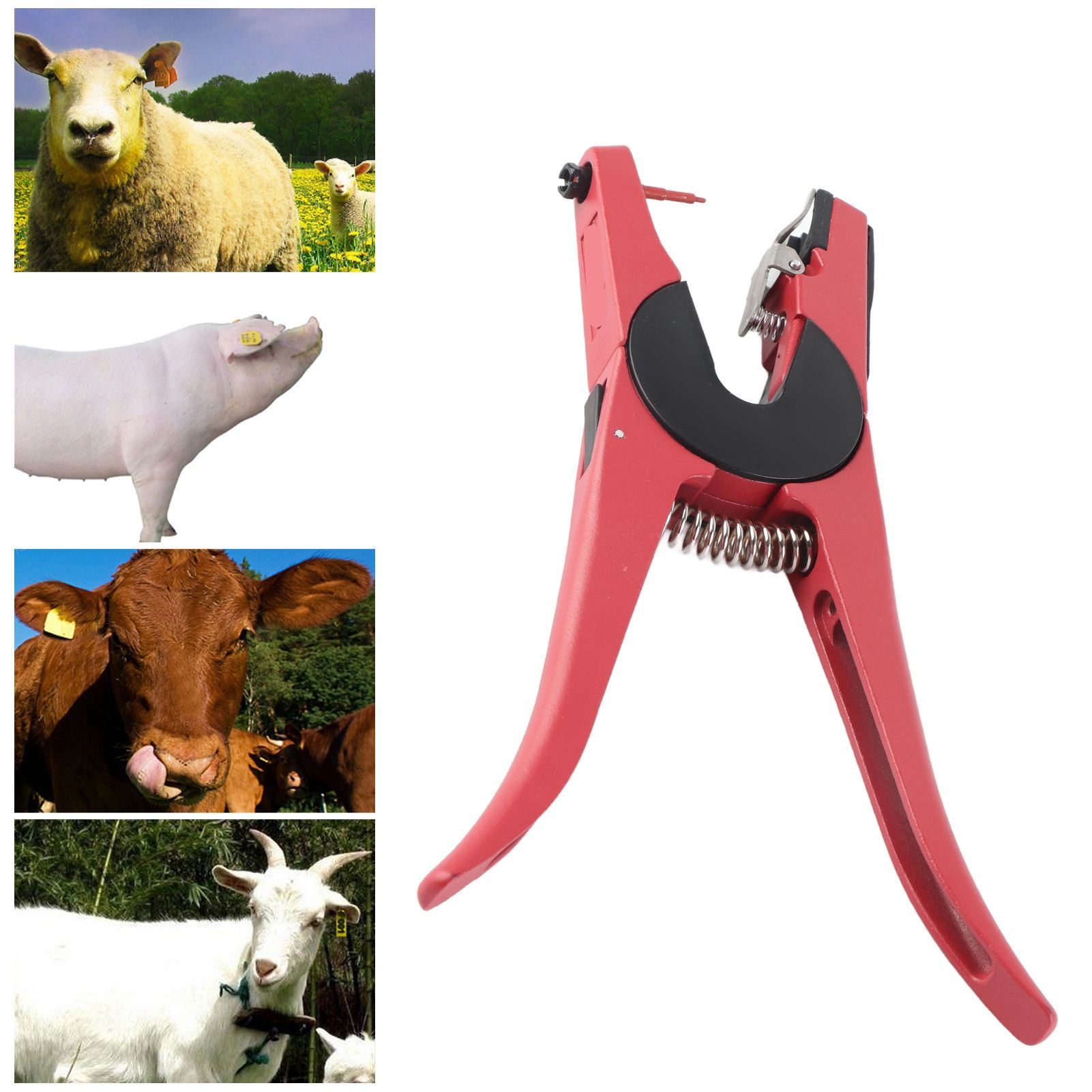 Animal Ear Tag Plier Applicator Puncher Tagger Tool for Livestock Pigs Sheep view 10