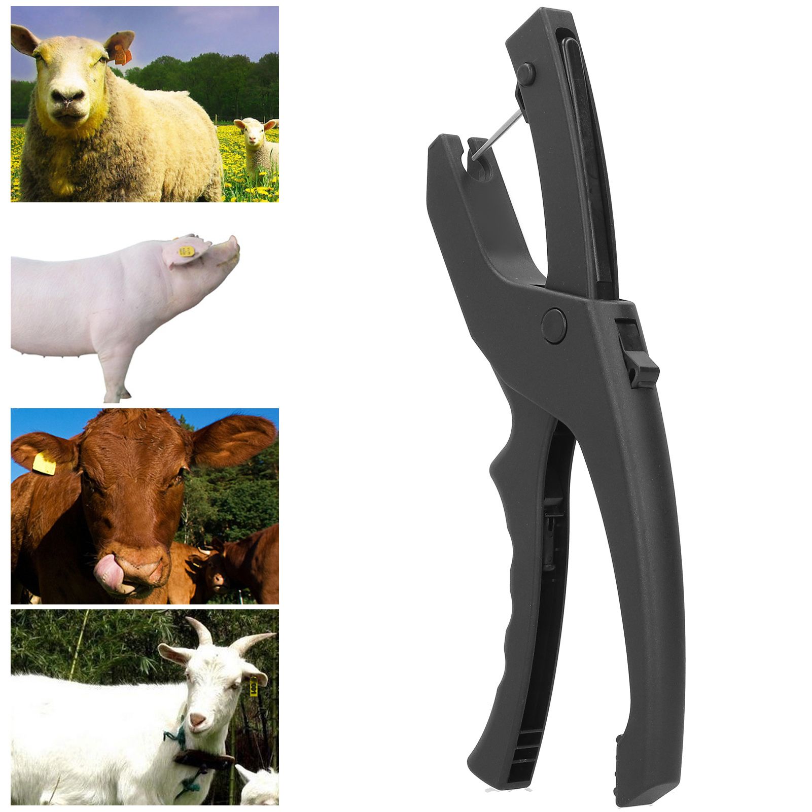 Poultry Ear Tag Applicator Plier Equipment Livestock Marking Tagger Tool for view 10