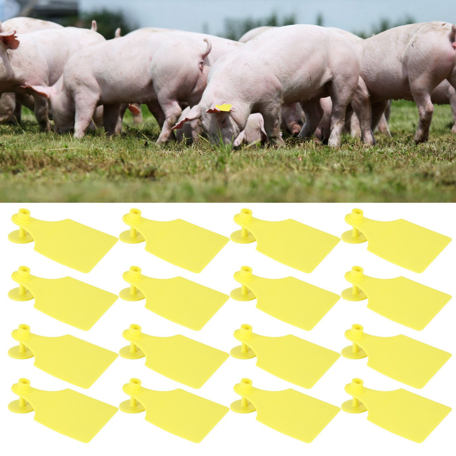 20 Set Livestock Identification Blank Ear Tag for Goats Sheep Cattle Cows Pigs view 9