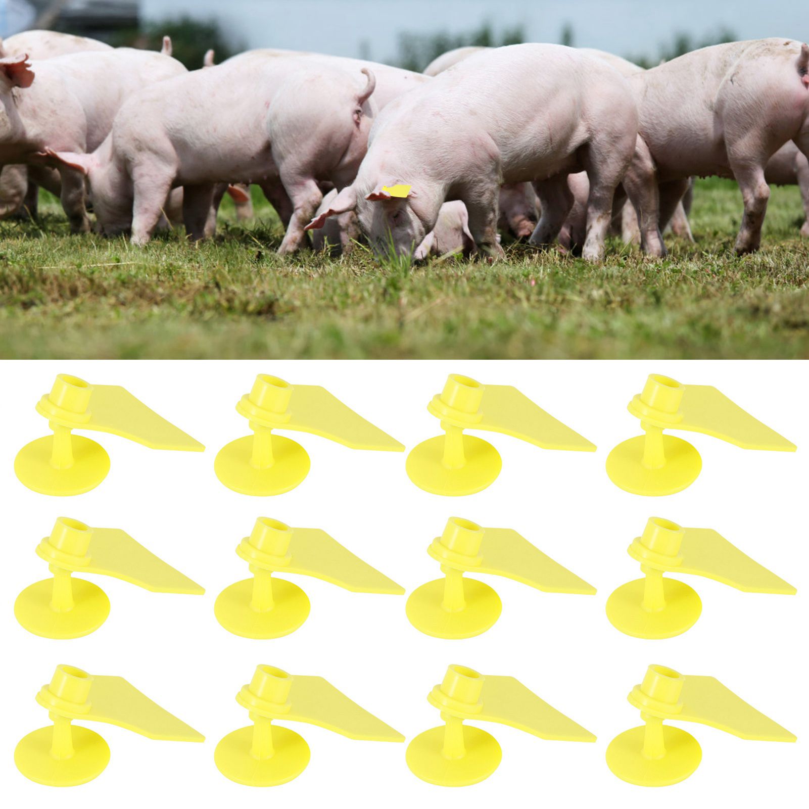 20 Set Livestock Identification Blank Ear Tag for Goats Sheep Cattle Cows Pigs view 9