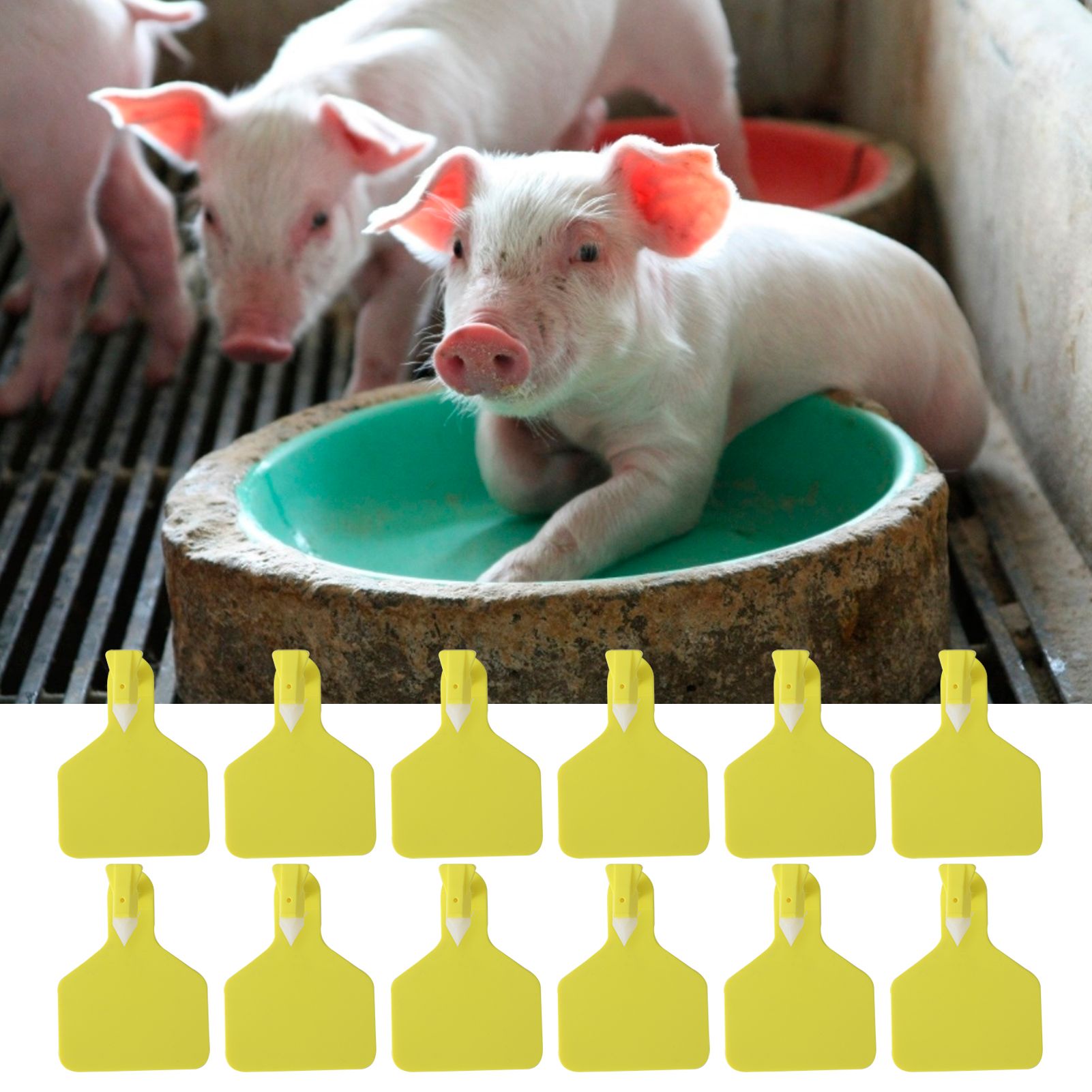 25PCS Livestock Cow Cattle Blank OnePiece Ear Tag Signs without Word Farm view 9
