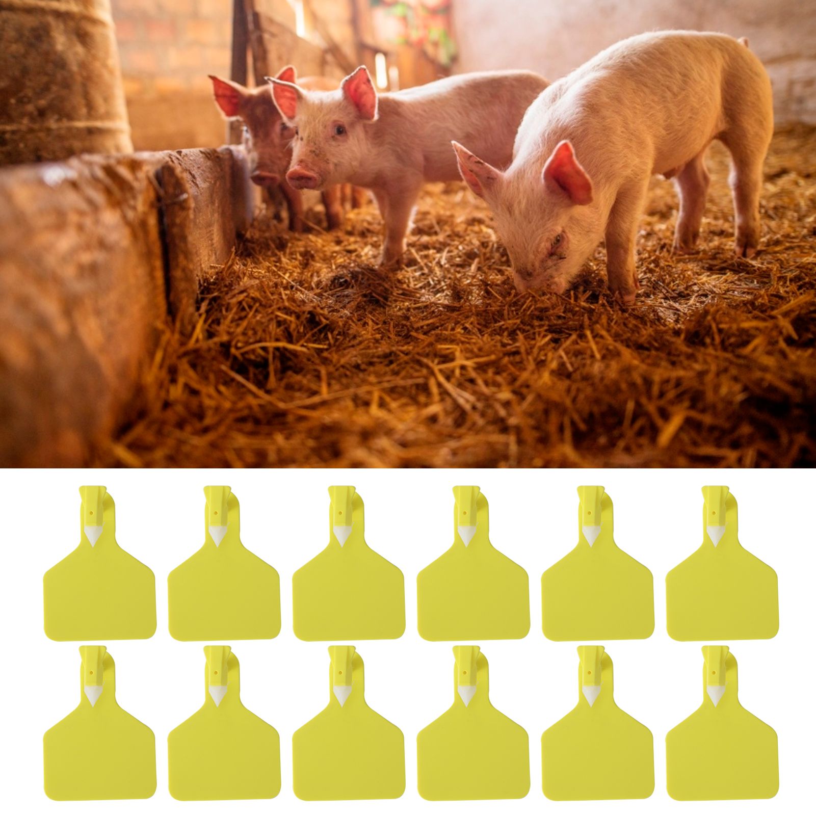 25PCS Livestock Cow Cattle Blank OnePiece Ear Tag Signs without Word Farm view 10
