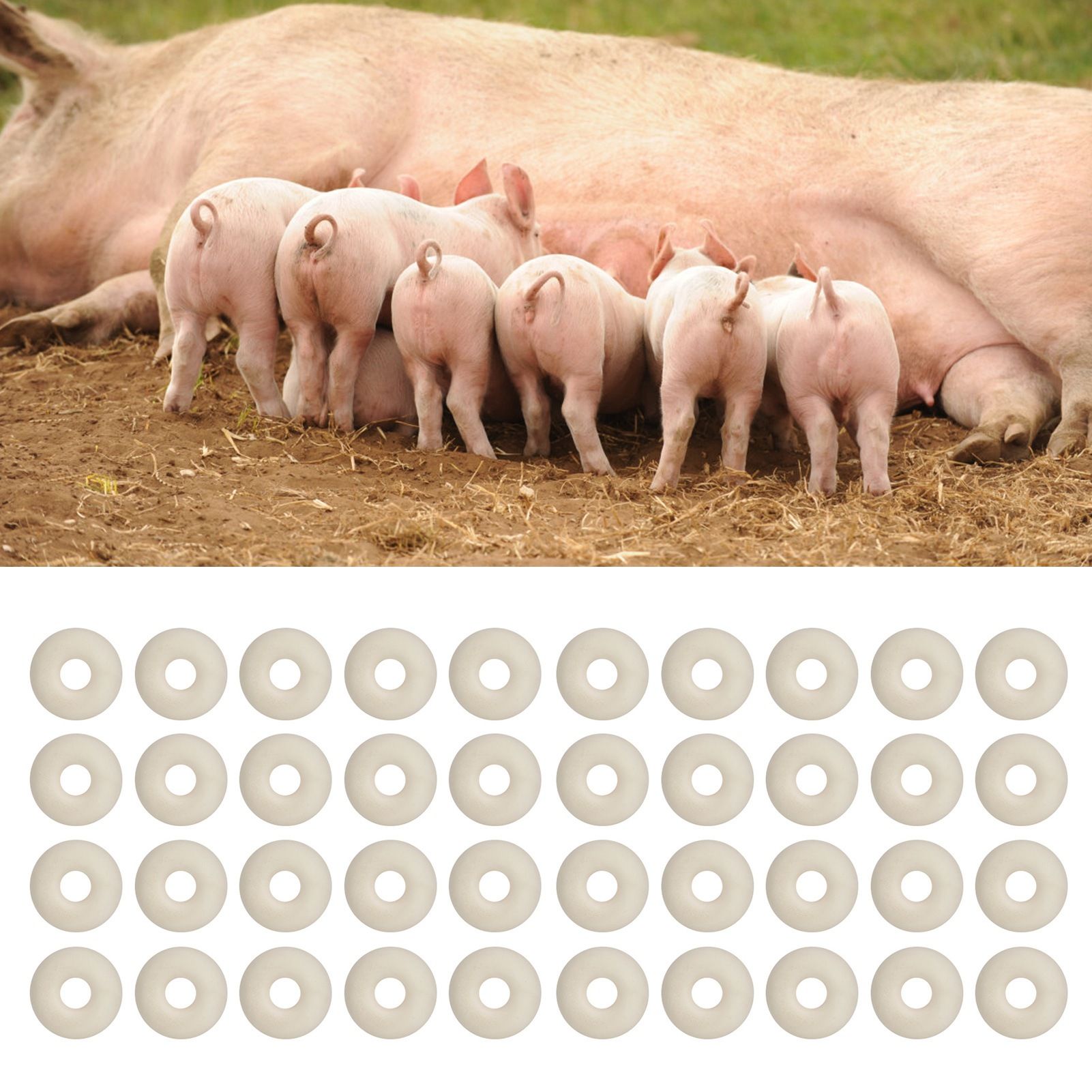 100PCS Pig Cattle Sheep Tail Cutting Castration Rubber Ring Castration Circle view 10