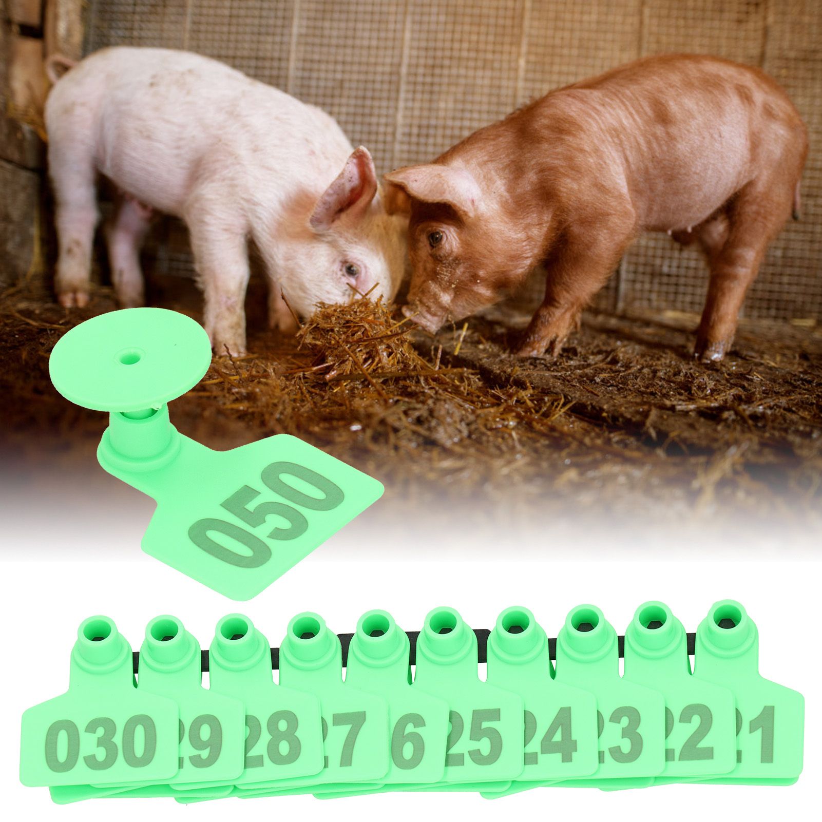 Pig Ear Tag Signs Marking Labels with Numbers for Farm Animal Identification view 9