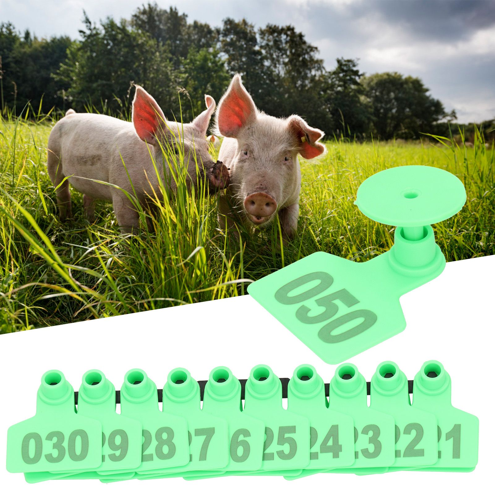 Pig Ear Tag Signs Marking Labels with Numbers for Farm Animal Identification view 10