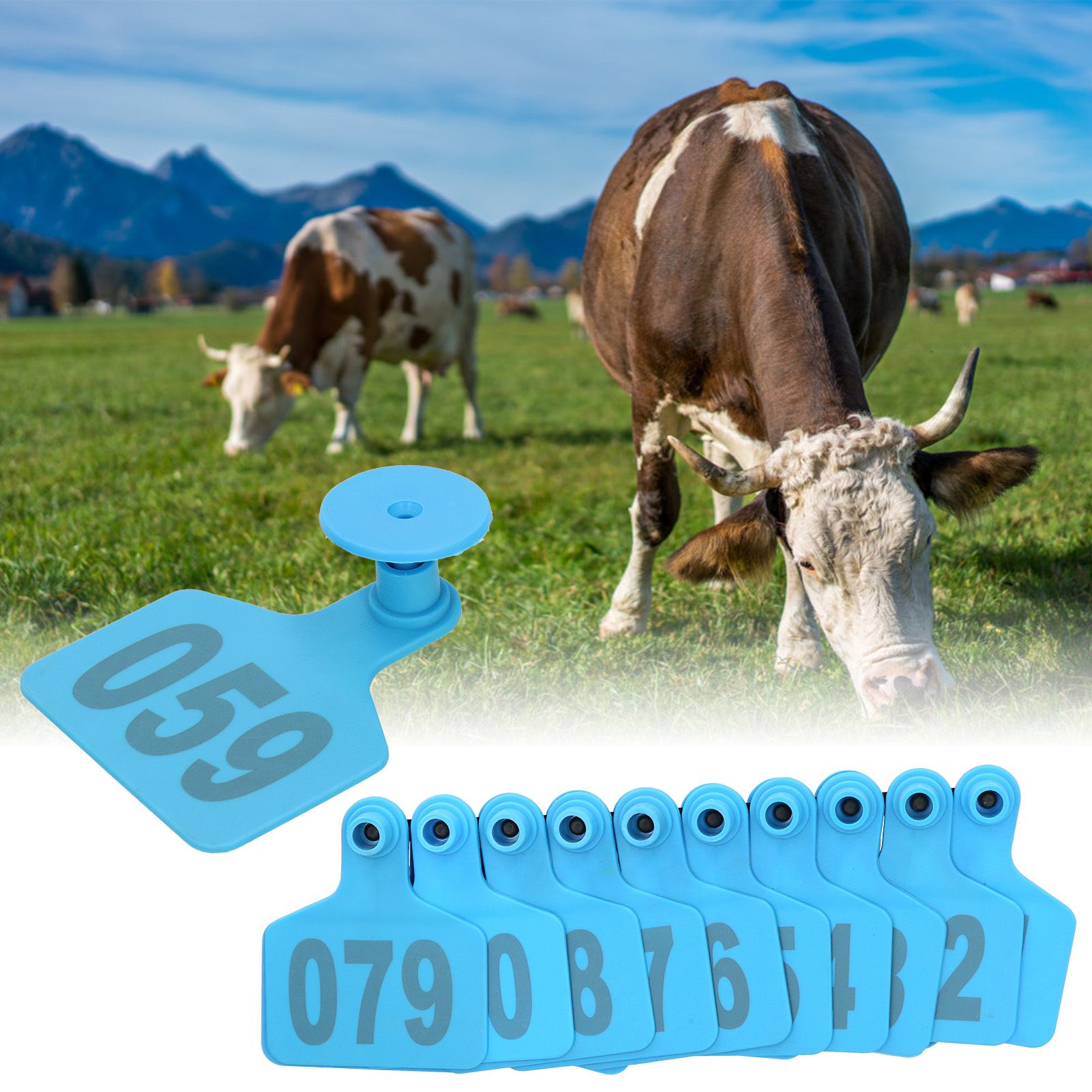 001‑100 Number Plastic Tag Livestock Animal Ear Tag for Marking Cattle Cows view 9
