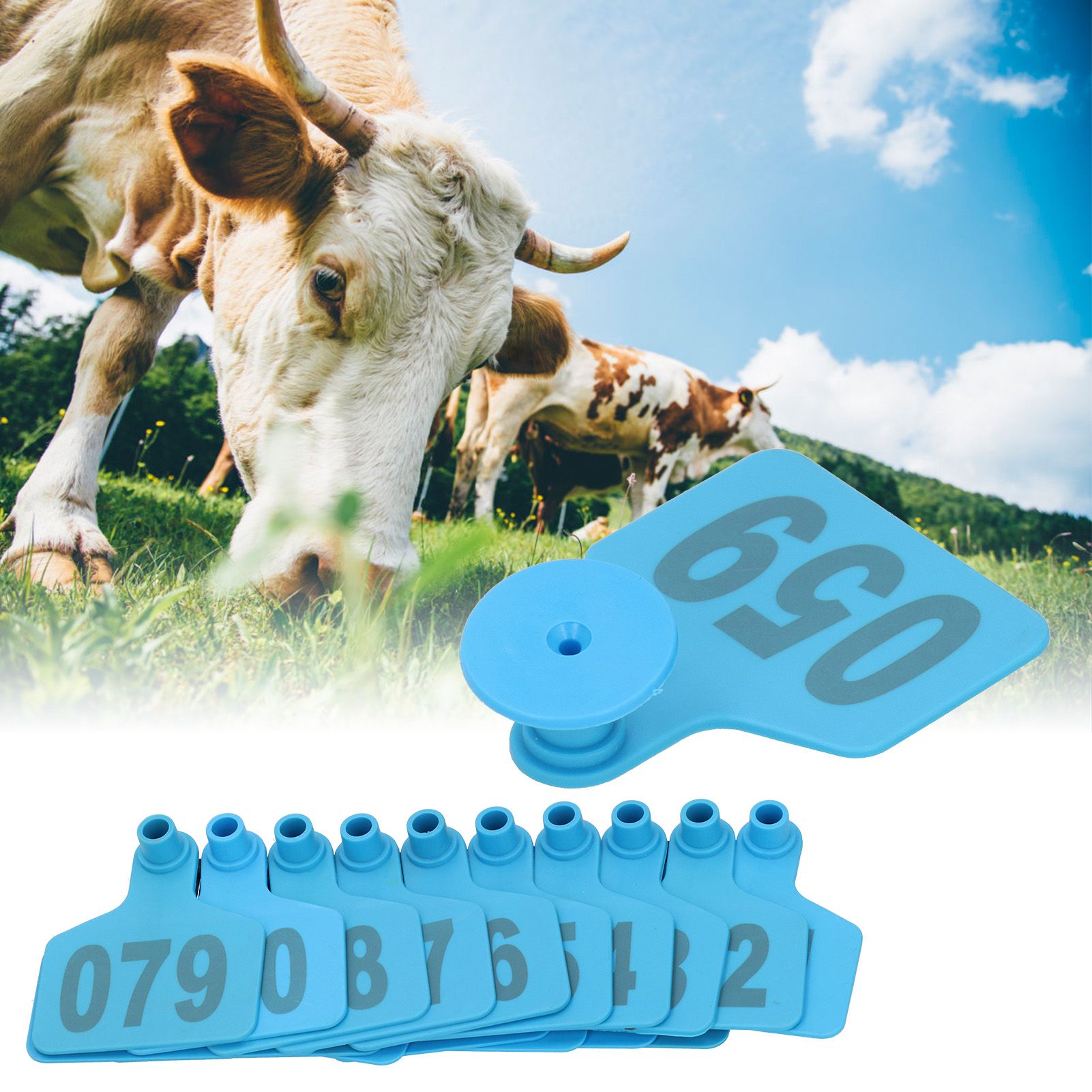 001‑100 Number Plastic Tag Livestock Animal Ear Tag for Marking Cattle Cows view 10