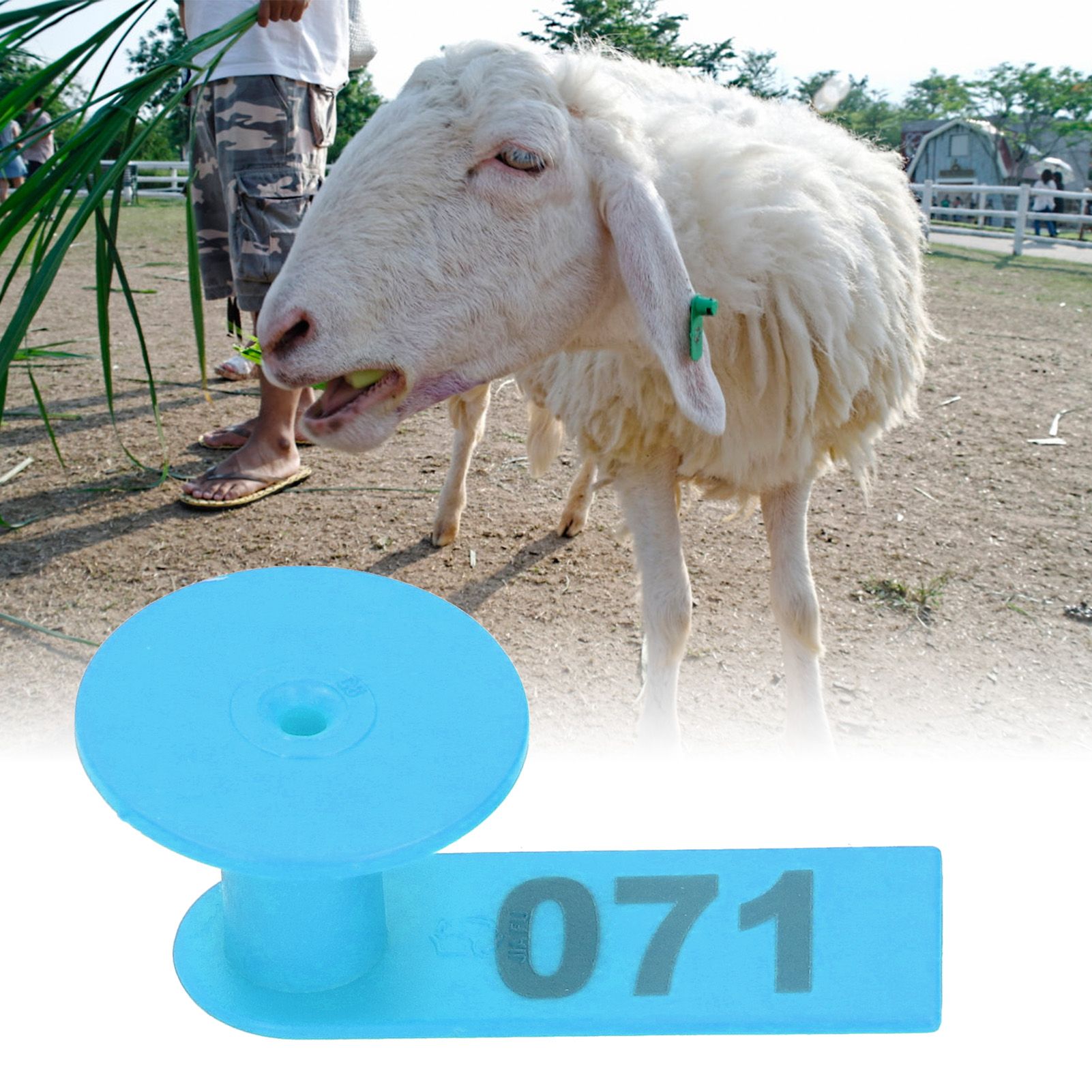 Numbered Ear Tag Marks Labels for Sheep Goats Farm Animal Livestock Feeding view 9