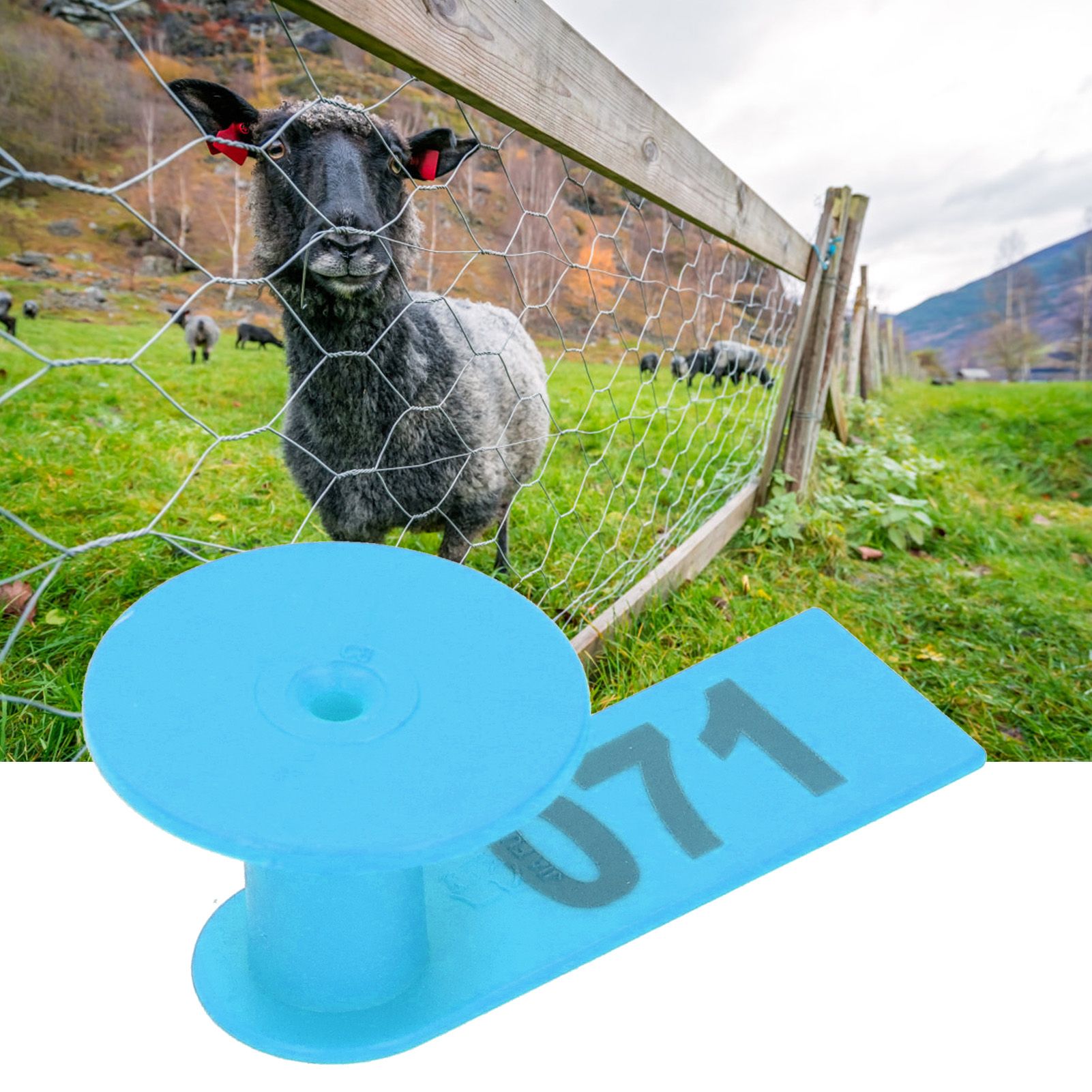 Numbered Ear Tag Marks Labels for Sheep Goats Farm Animal Livestock Feeding view 10