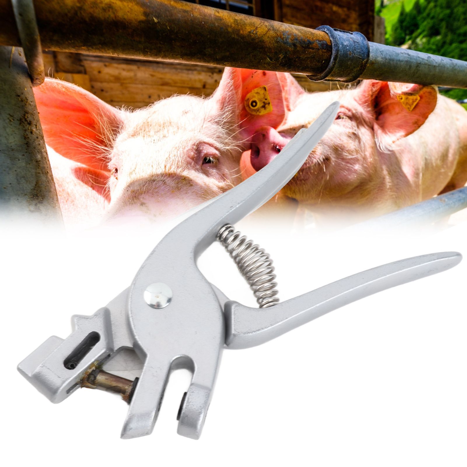 Aluminium Alloy Pigs Ear Tongs Pliers Animal Livestock Cattle Sheep Ear Marker view 11