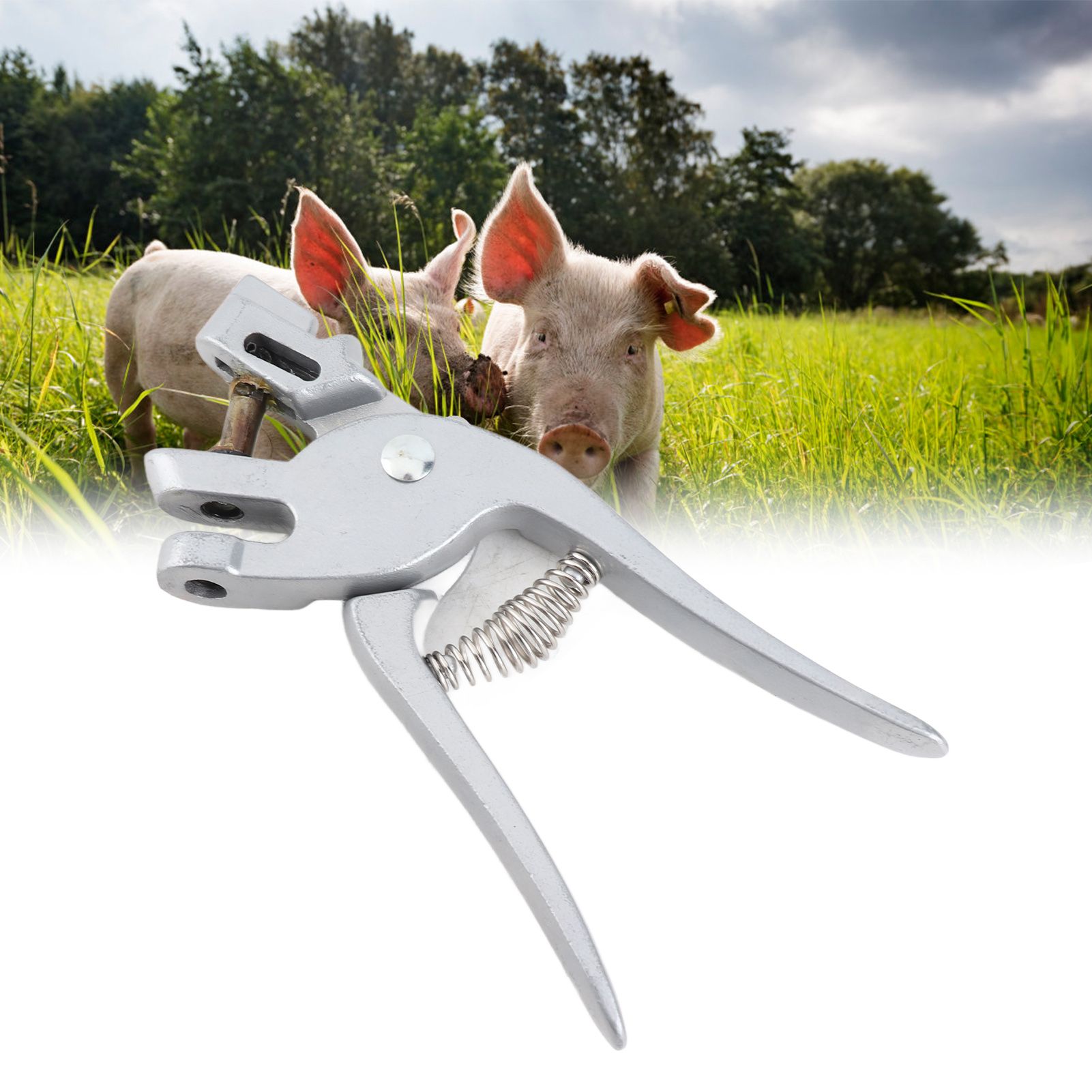 Aluminium Alloy Pigs Ear Tongs Pliers Animal Livestock Cattle Sheep Ear Marker view 12