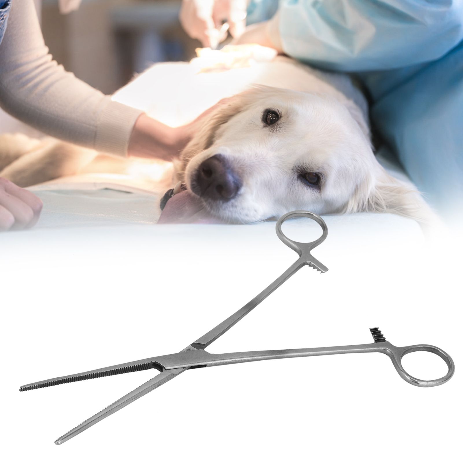 22cm/8.7in Haemostatic Hemostat Forceps Portable Stainless Steel Pliers Hair view 9
