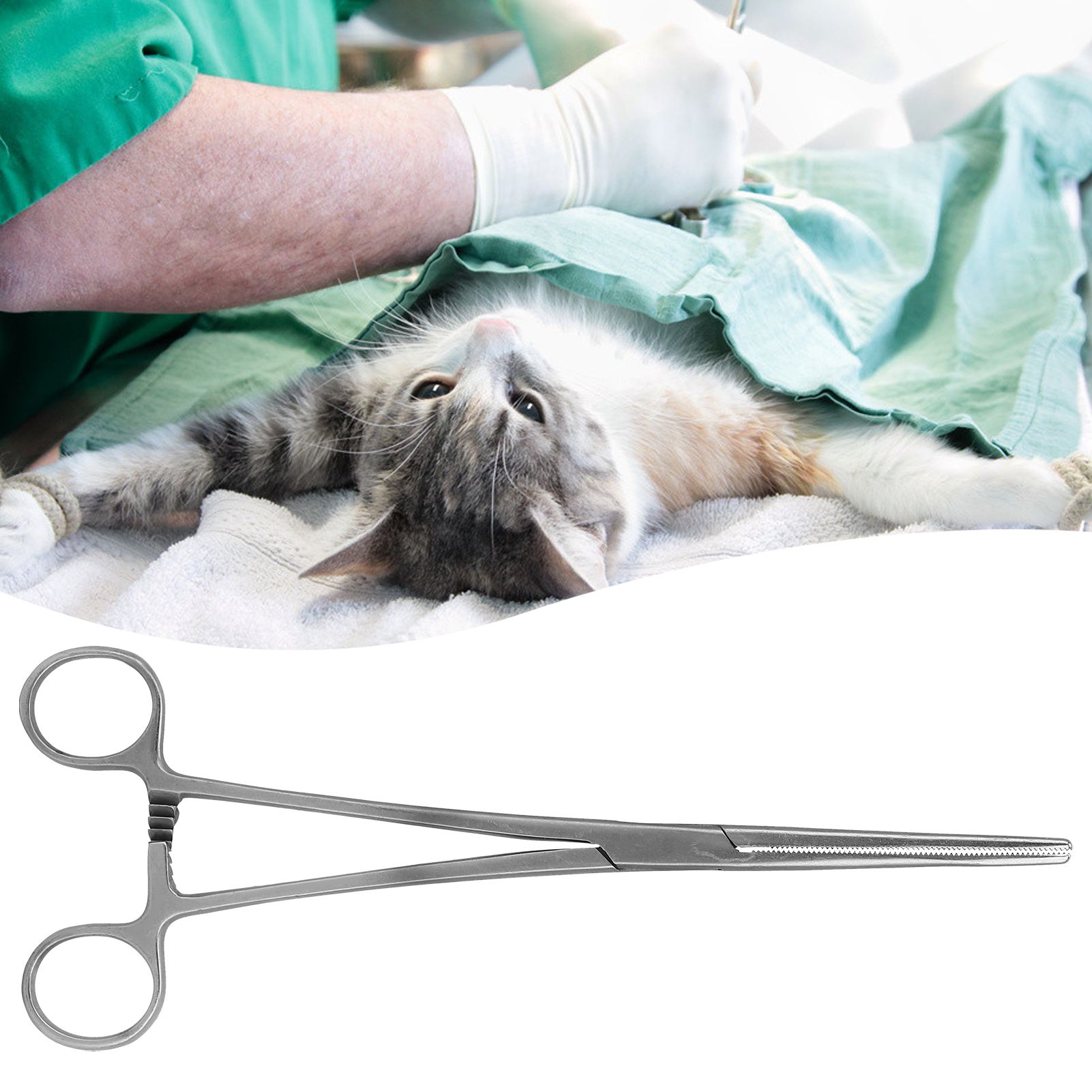 22cm/8.7in Haemostatic Hemostat Forceps Portable Stainless Steel Pliers Hair view 10