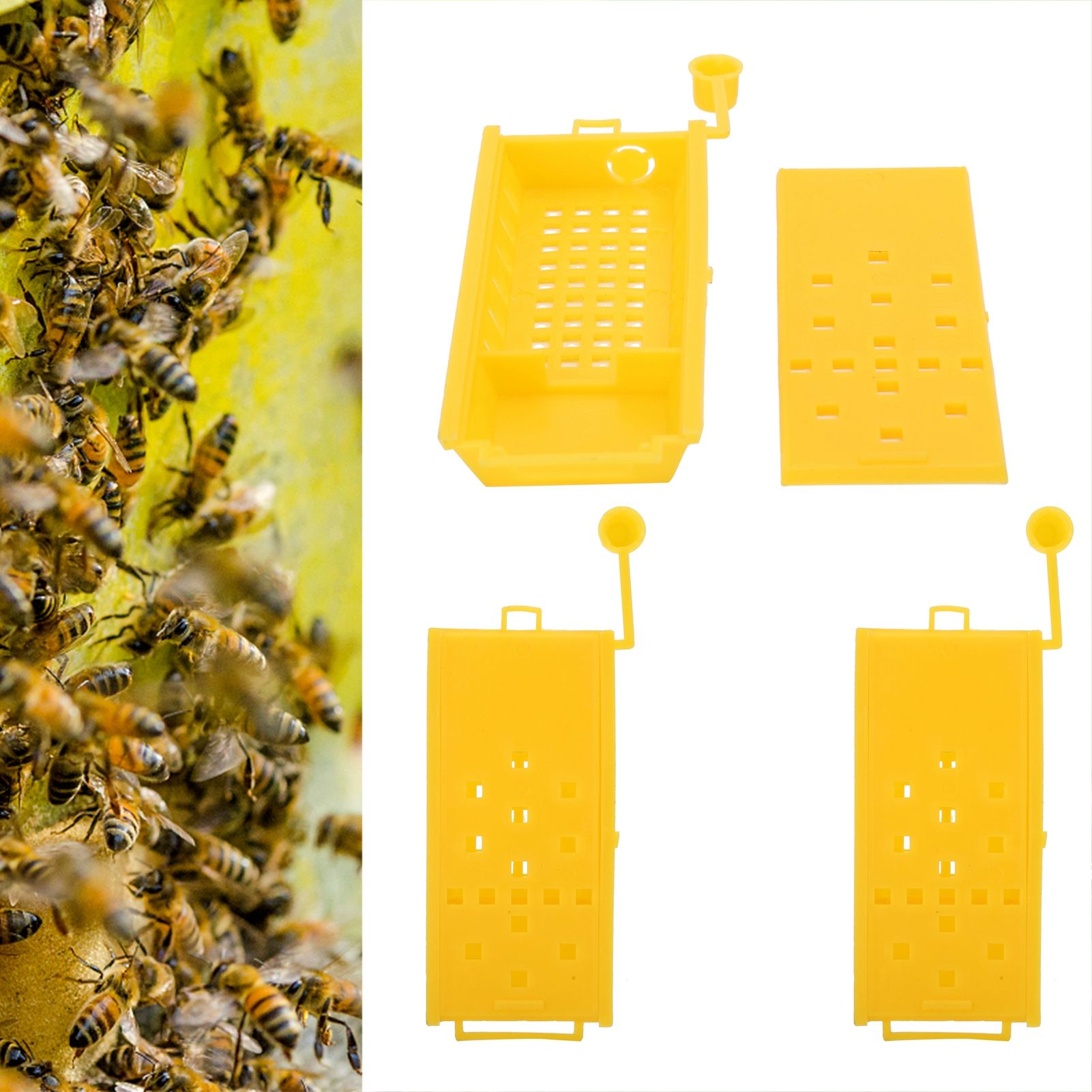 20Pcs Queen Bee Cages Yellow Plastic Capture Box Beekeeping Transport Tool view 10