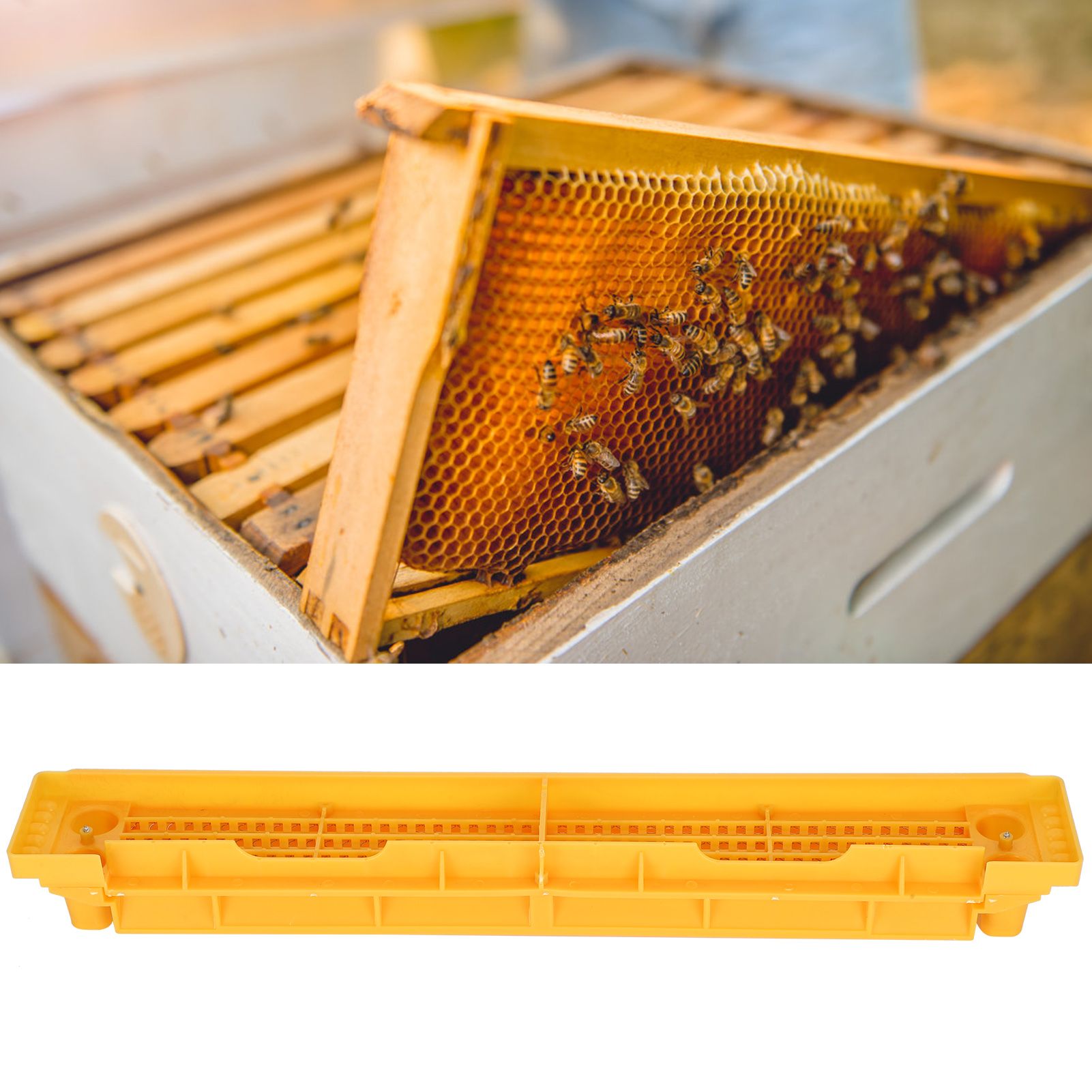 Pollen Trap Collector Beehive Box Collect Tool High Toughness Plastic view 9