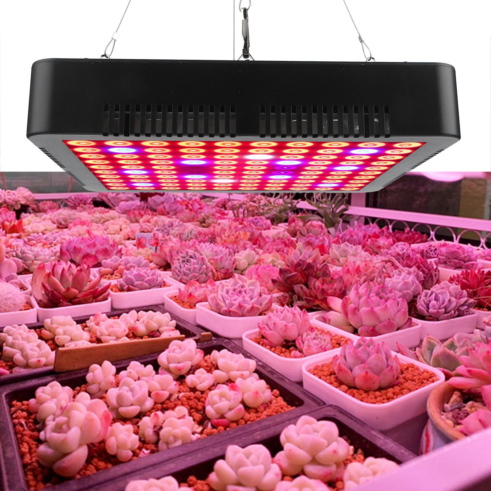 300W 100LED Chips Grow Lamp Full Spectrum Plant LED Panel Growing Lights Fixture view 10