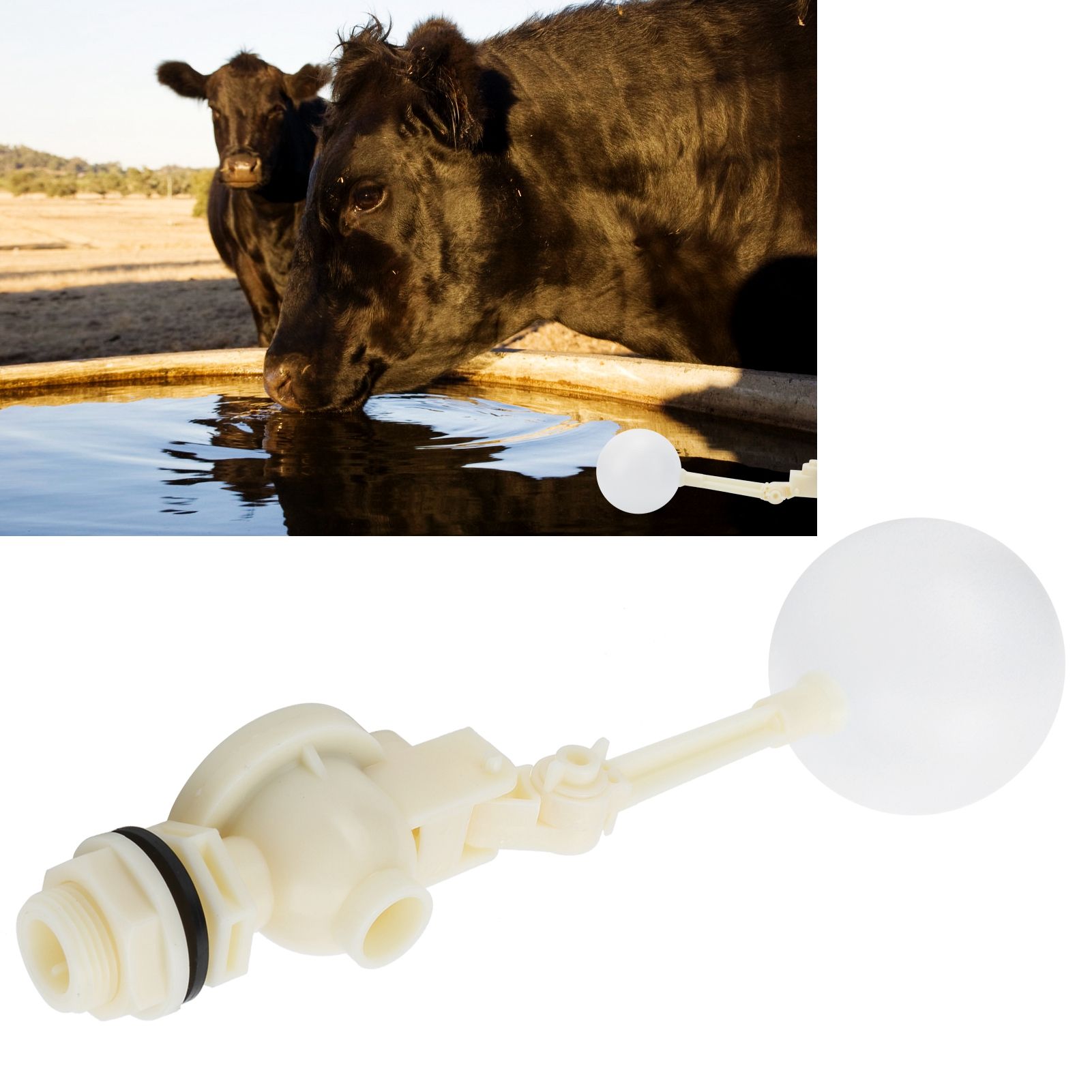 DN20 G3/4in Plastic Float Valve Adjustable Float Switch Valve for Water Tank view 10