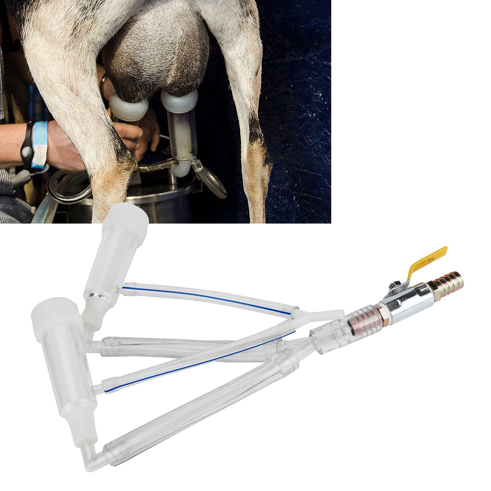 Sheep Milking Cluster Group Replacement Teat Cups with Switch Milking Machine view 9