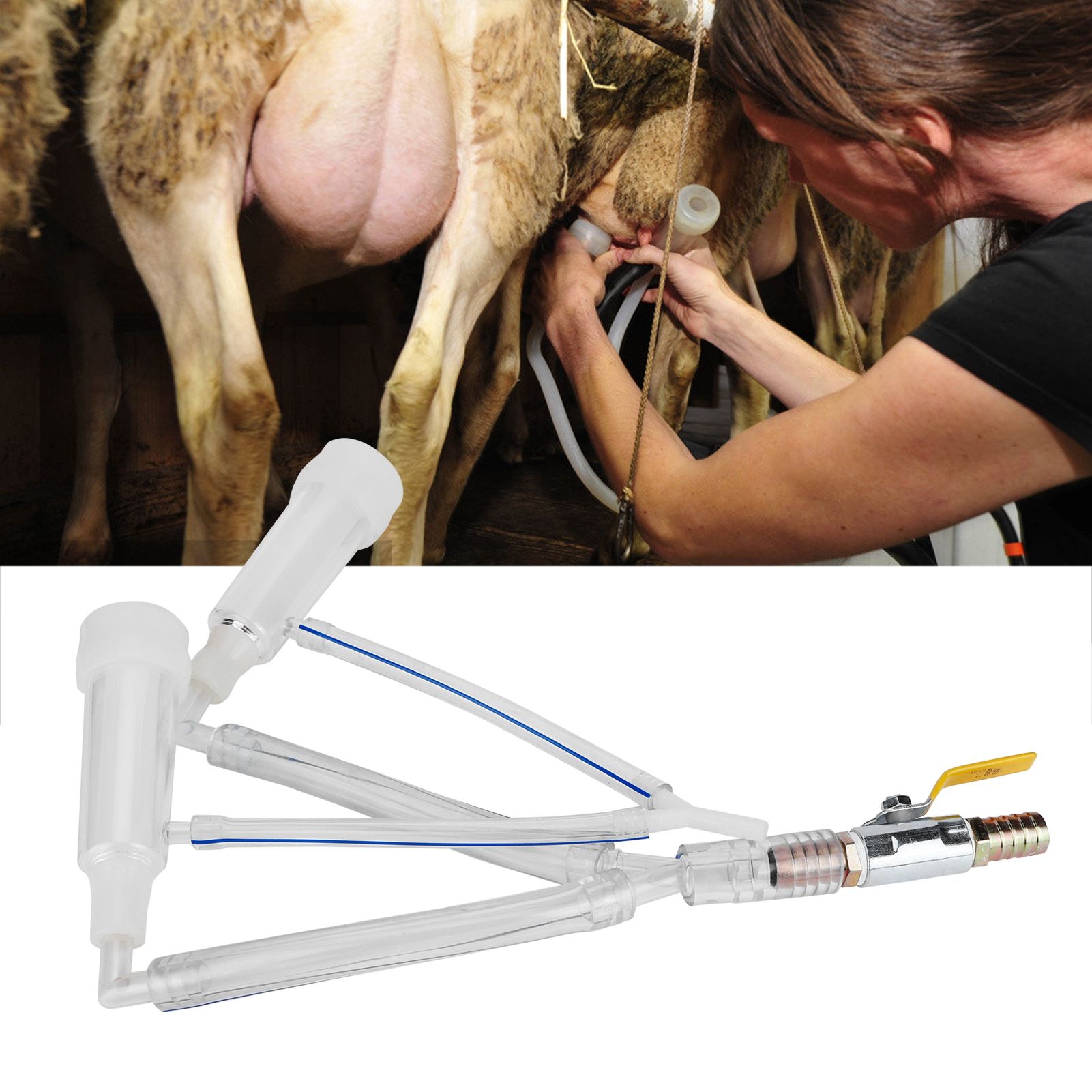 Sheep Milking Cluster Group Replacement Teat Cups with Switch Milking Machine view 10