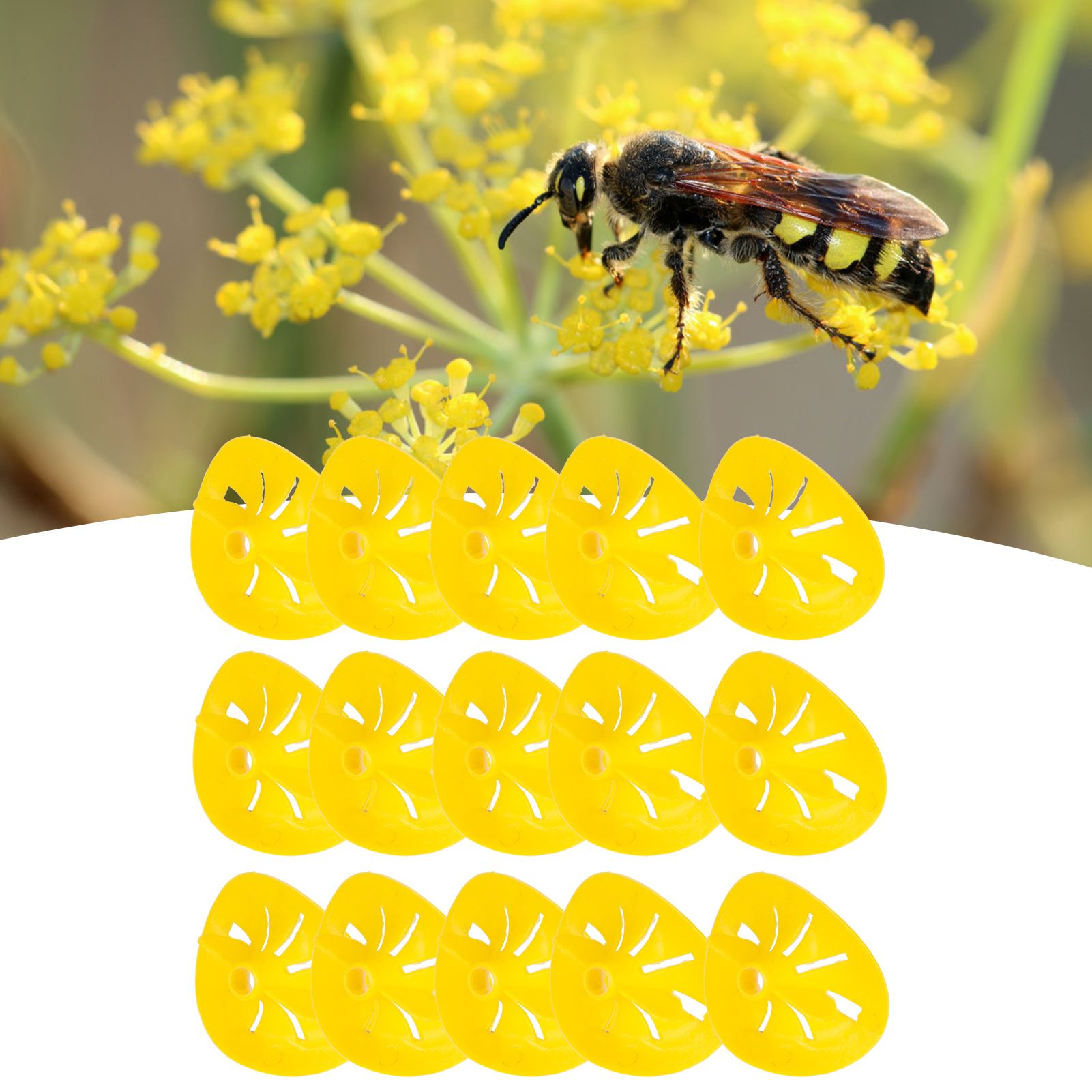 30Pcs Bee Traps FlowerShaped Reusable Bee Catcher Funnel Beekeeping Accessory view 9