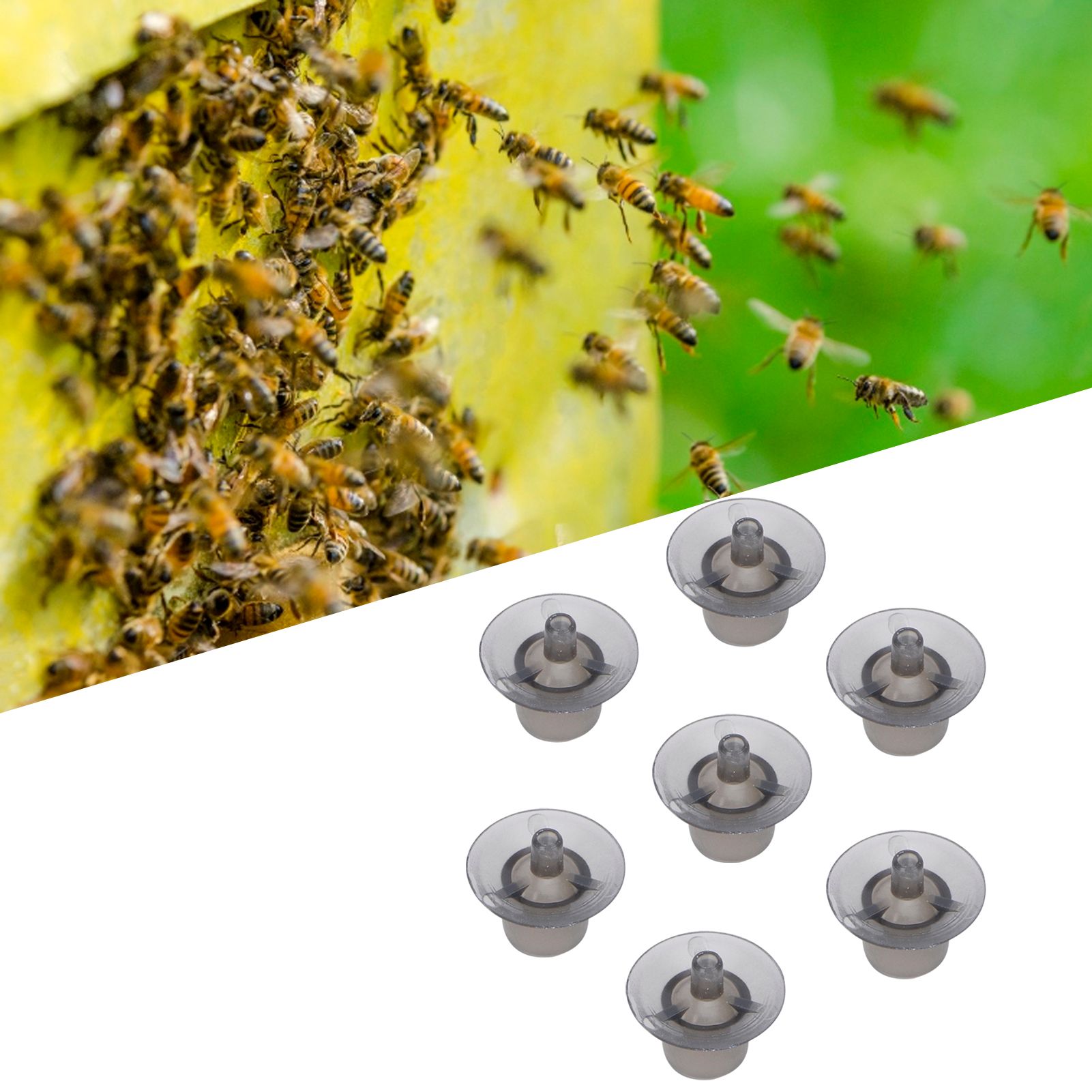 100Pcs Queen Bee Rearing Cell Cup Plastic Breeding Cage Beekeeping Accessory view 9