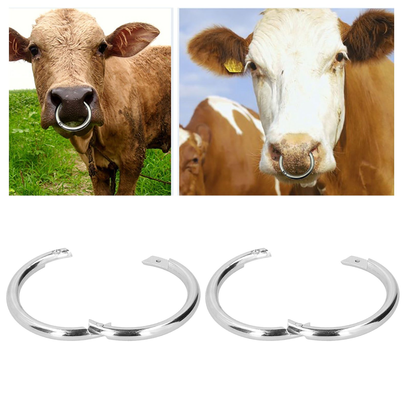 2PCS Carbon Steel Bull Cattle Cow Nose Ring Farm Animal Equipment Veterinary Tools view 10