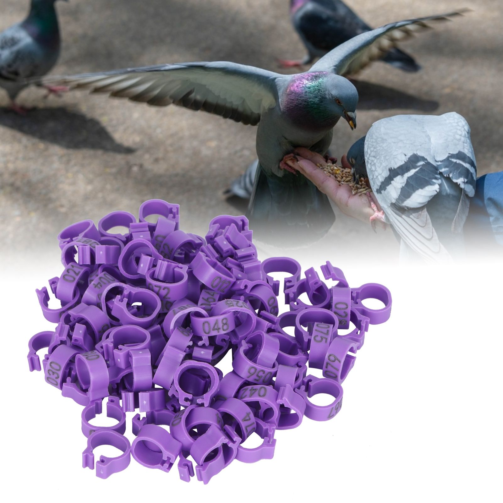 100pcs Birds Foot Rings Number Identification Pigeon Leg Bands Poultry Clip view 9
