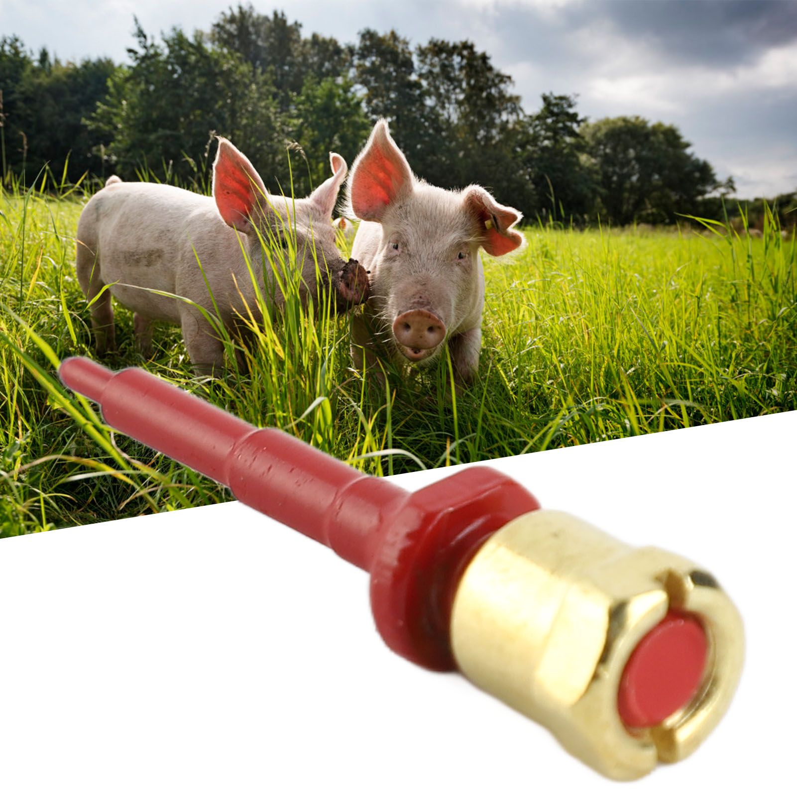 Ear Tag Needle Ear Tag Applicator Pliers Pin Nail for Cattle Pigs Sheep view 12