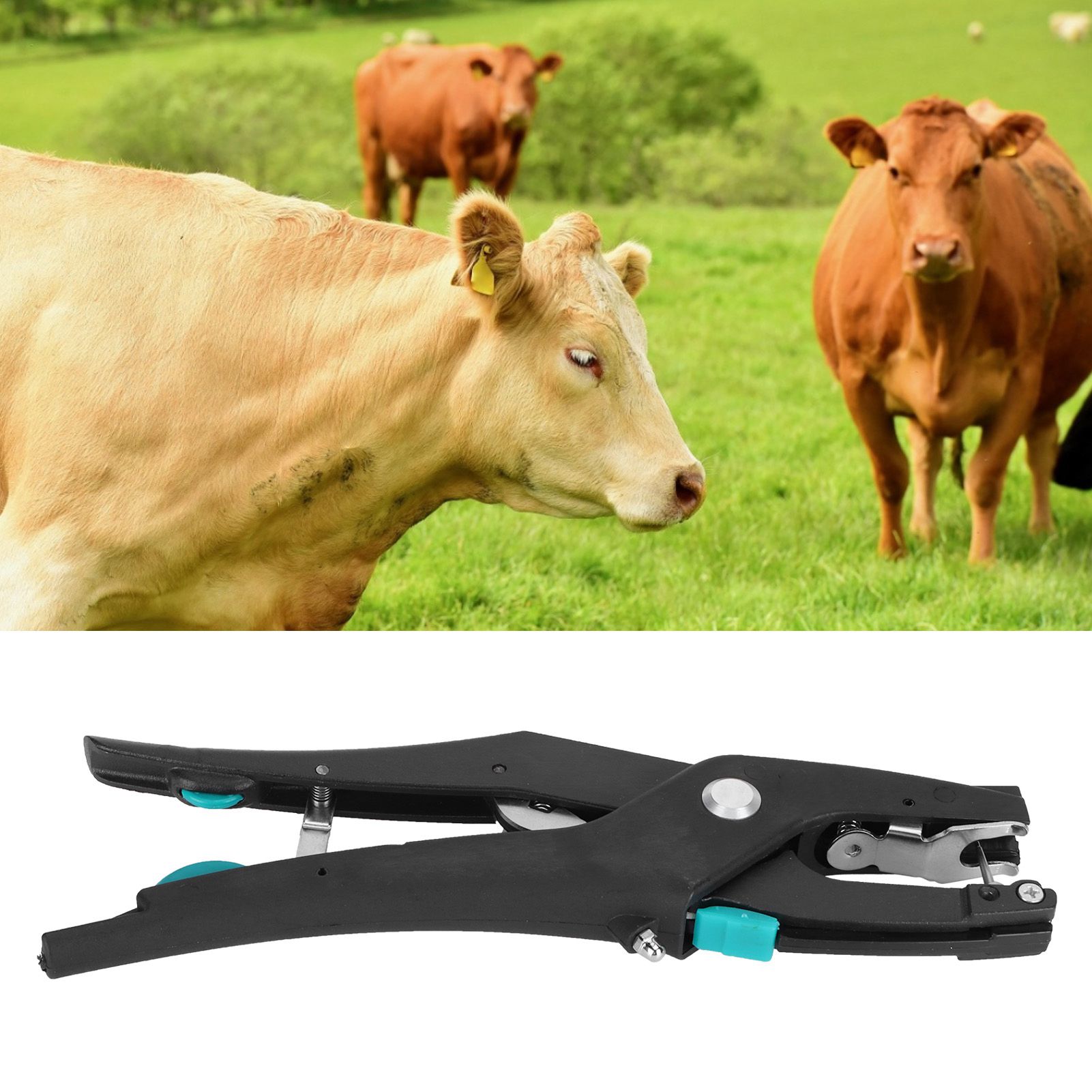 Ear Tag Plier Rebound Livestock Marking Accessory Tool for Pigs Sheep Goats Deer view 9
