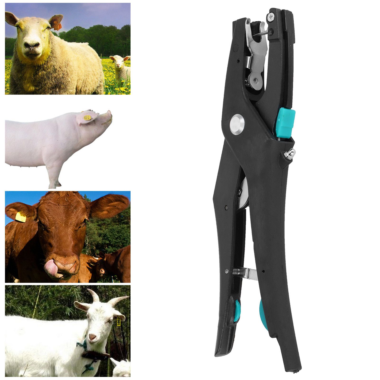 Ear Tag Plier Rebound Livestock Marking Accessory Tool for Pigs Sheep Goats Deer view 10
