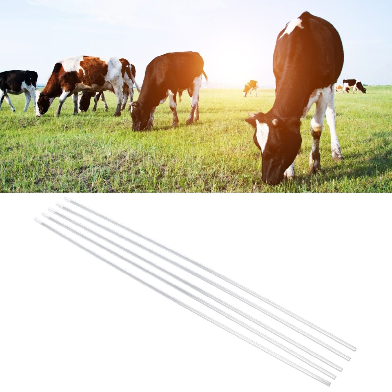 20Pcs Artificial Insemination Tube Sleeve Disposable Catheter Tube Accessory view 11