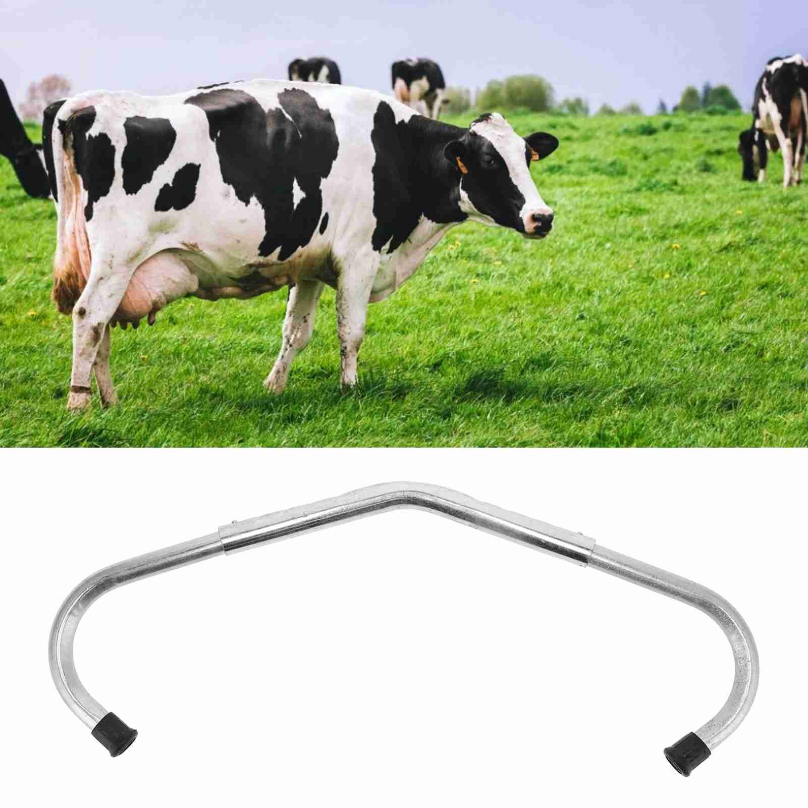 Adjustable Cattle Anti Kicking Stick AntiKick Off Device Rod Tool for Dairy view 11