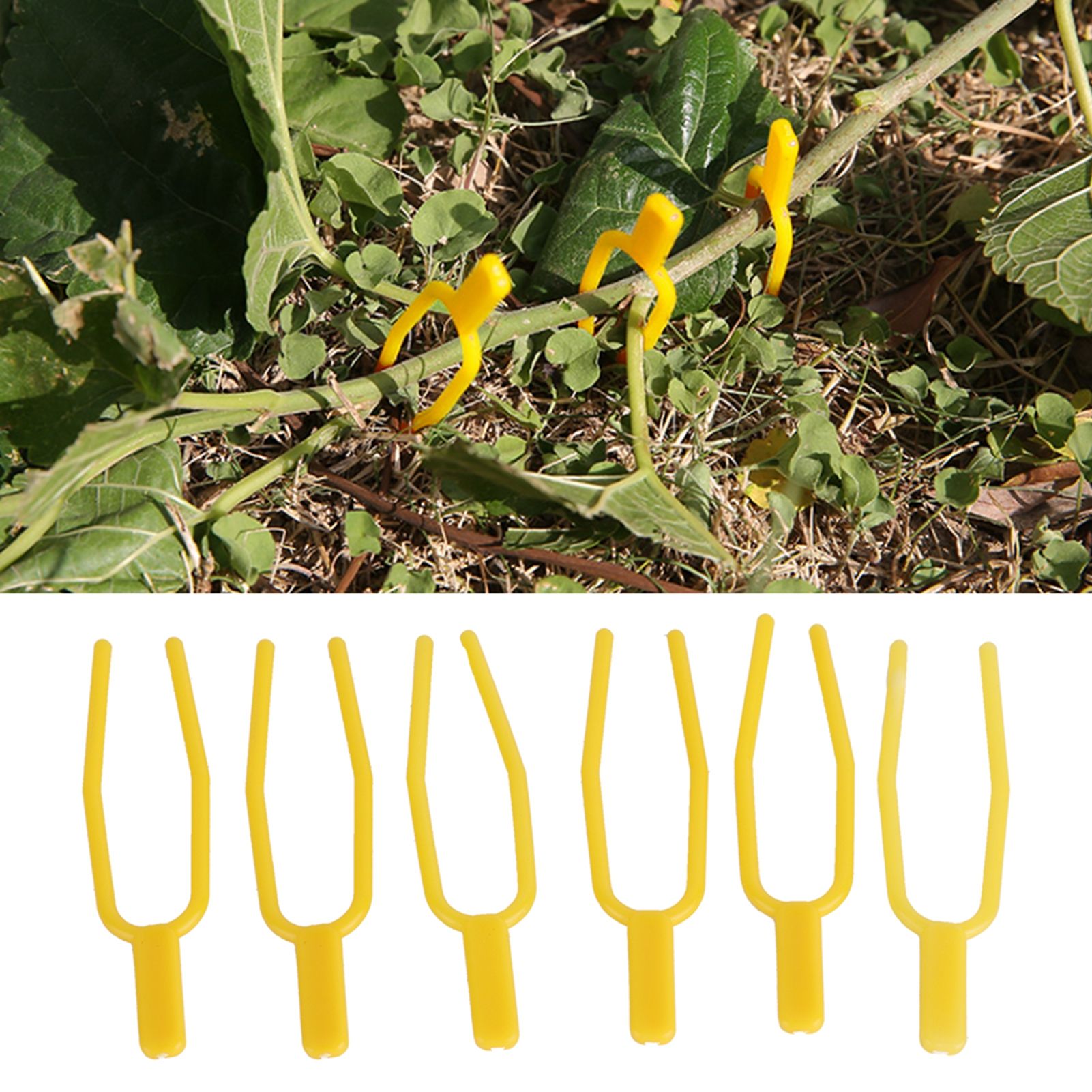 100Pcs Plant Fixing Clip Stolon Fixator Waterproof Vine Plants Strawberry view 11