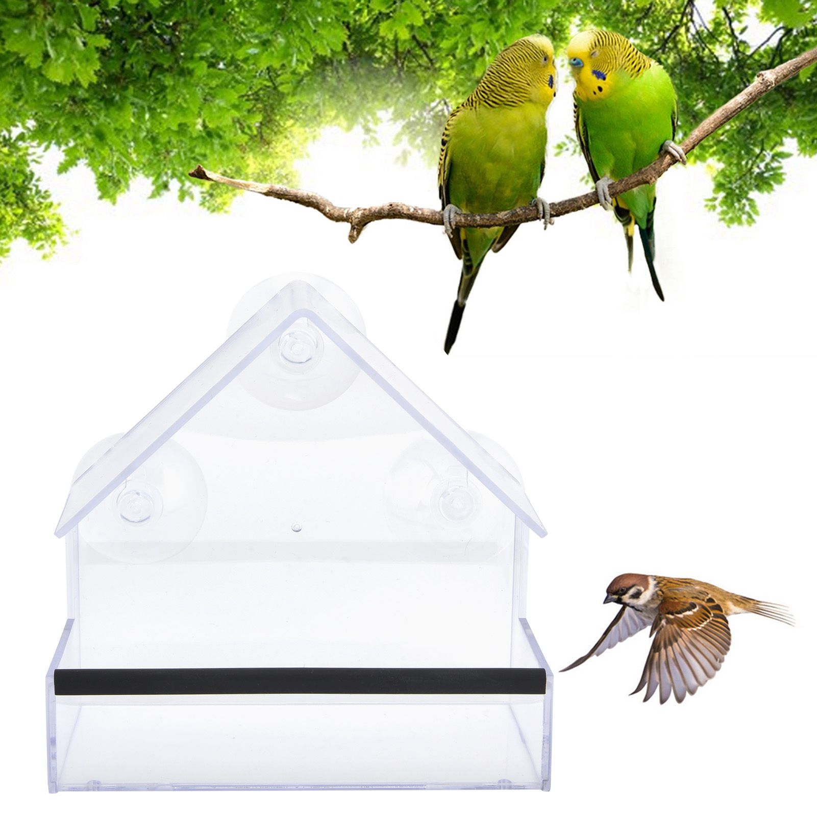 Automatic Bird Feeder Garden Yard Paddock Exterior Decoration Courtyard Indoor view 11