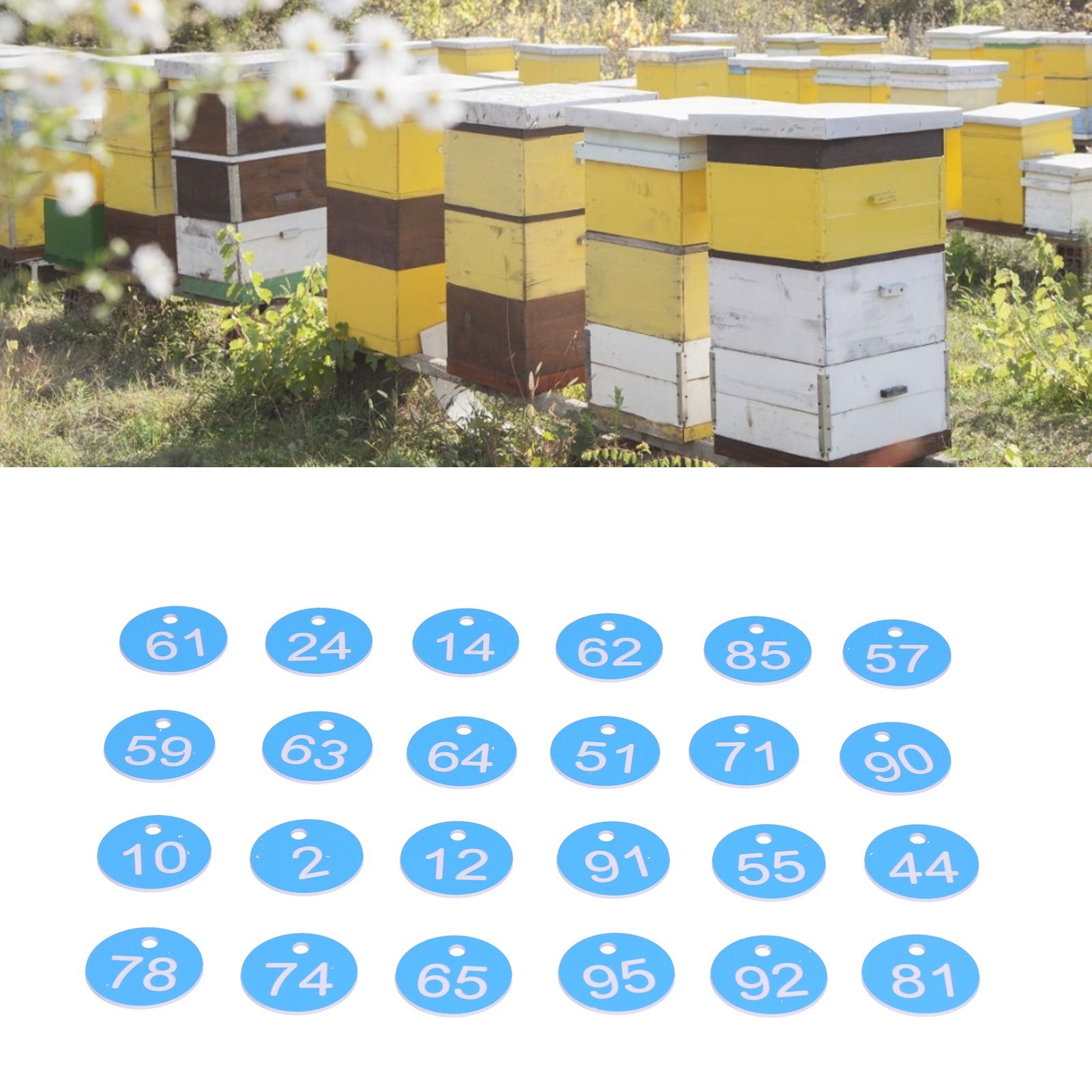 100Pcs Round Number Tag Beehive Sign Marker Labels with Hole Farm Beekeeping view 11