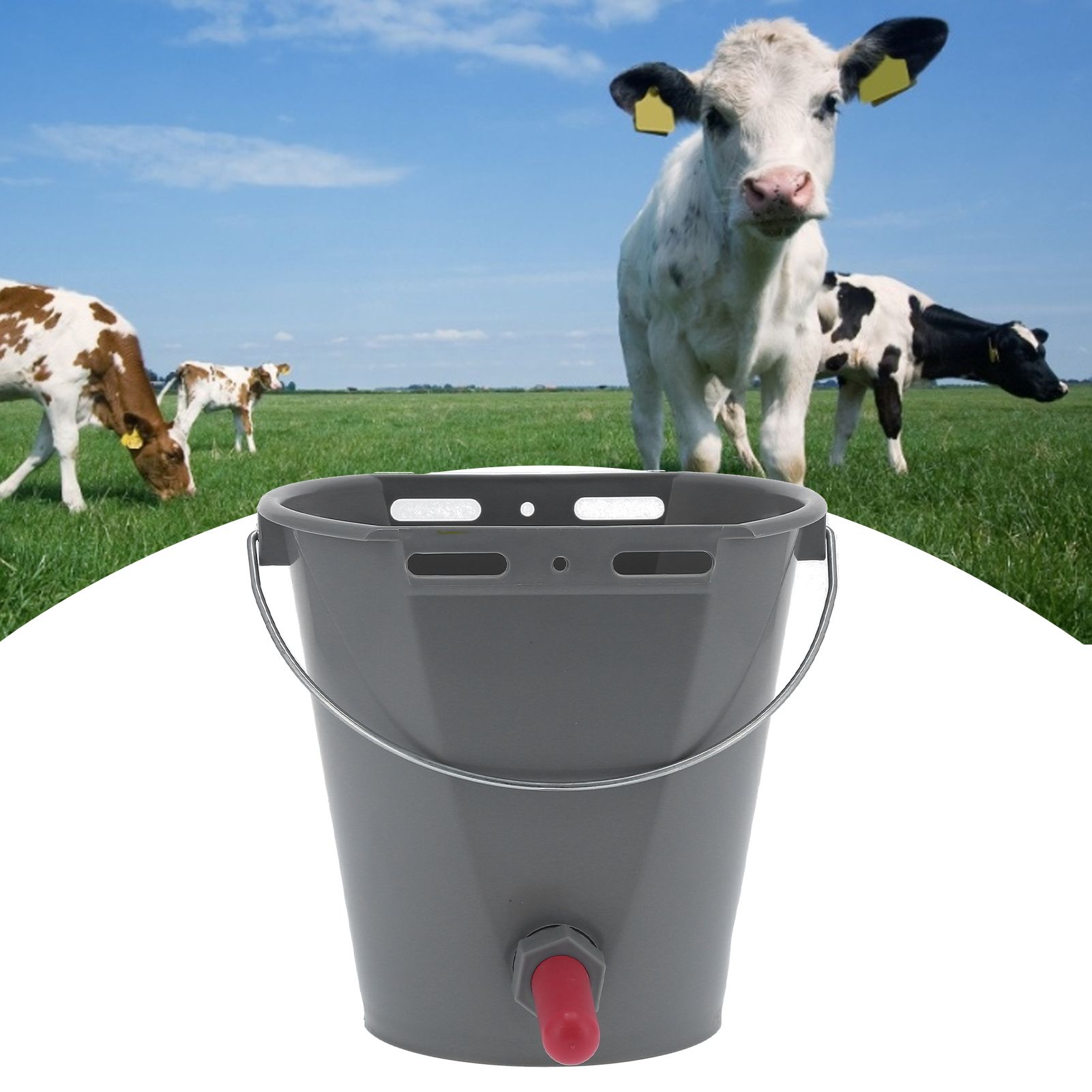 8L Feeder Bucket with 2 Nipple Milk Feeding Barrel Livestock Farm Accessory view 12
