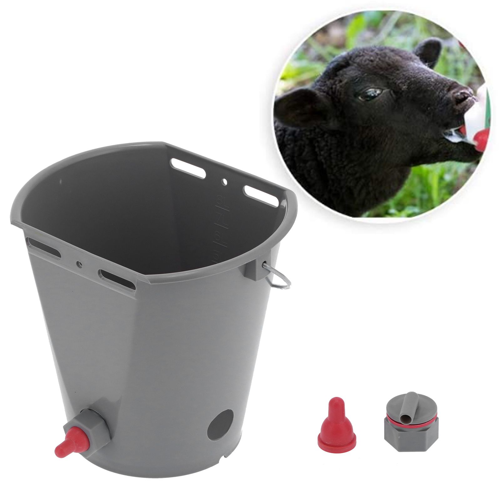8L Feeder Bucket with 2 Nipple Milk Feeding Barrel Livestock Farm Accessory view 11