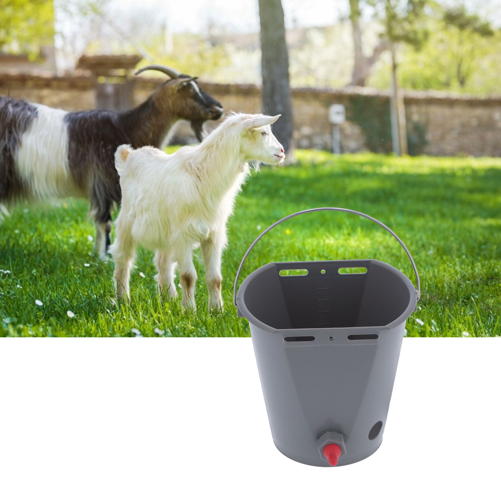 Milk Feed Bucket with 4 Nipples Check Valves Livestock Plastic Feeding view 12