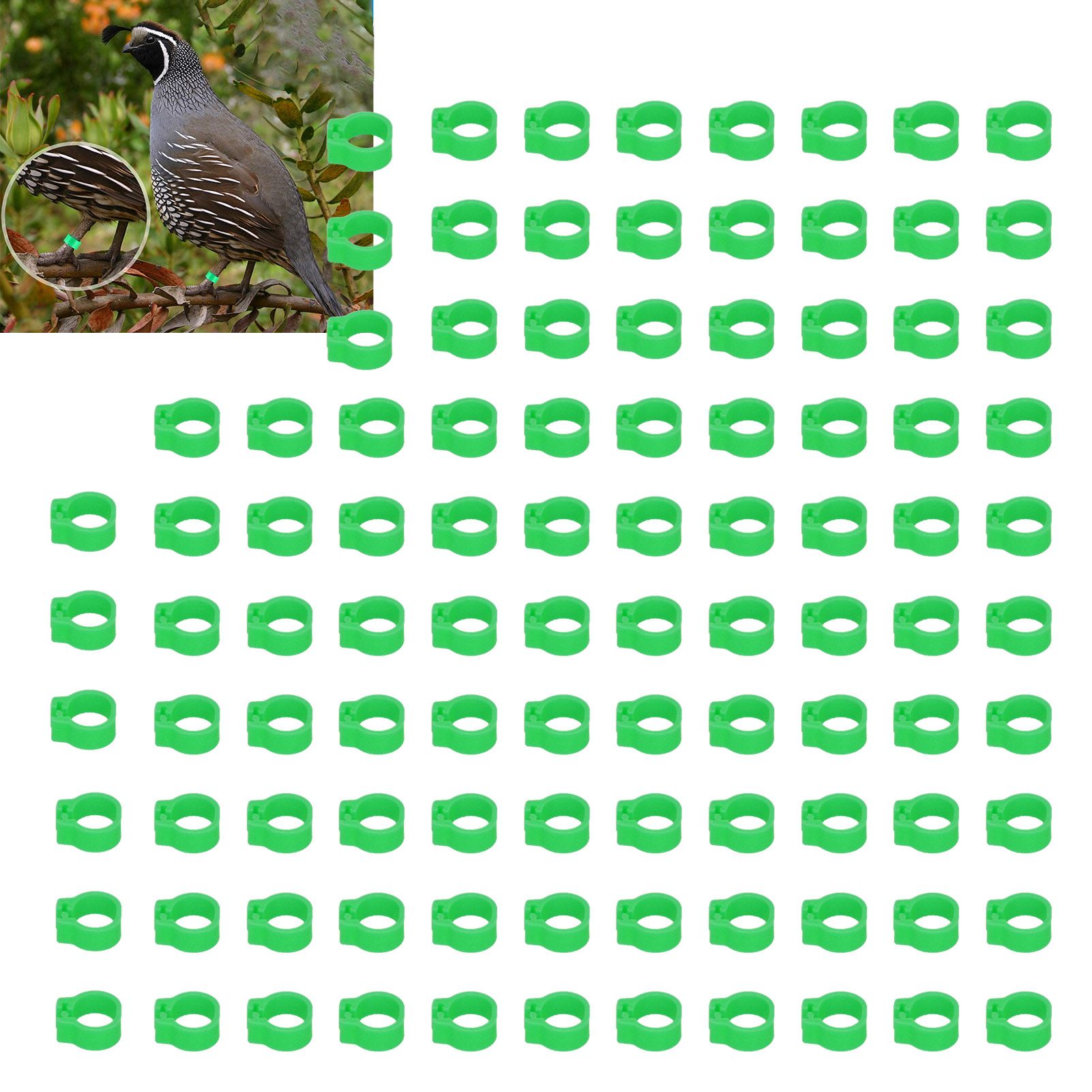 100PCS 8mm Pigeons Identification Leg Rings Poultry Leg Bands No Words Pigeons view 11