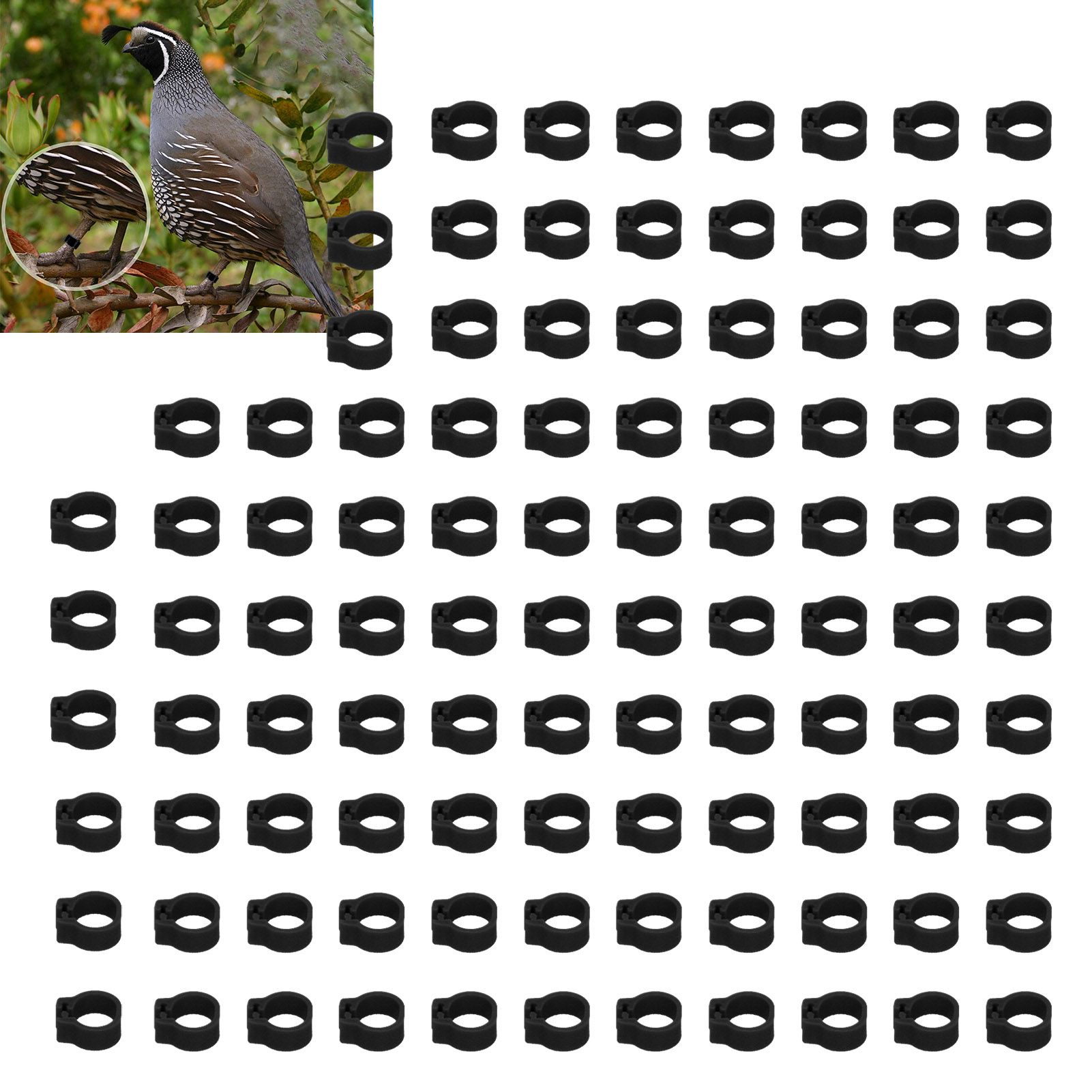 100PCS 8mm Pigeons Identification Leg Rings Poultry Leg Bands No Words Pigeons view 11
