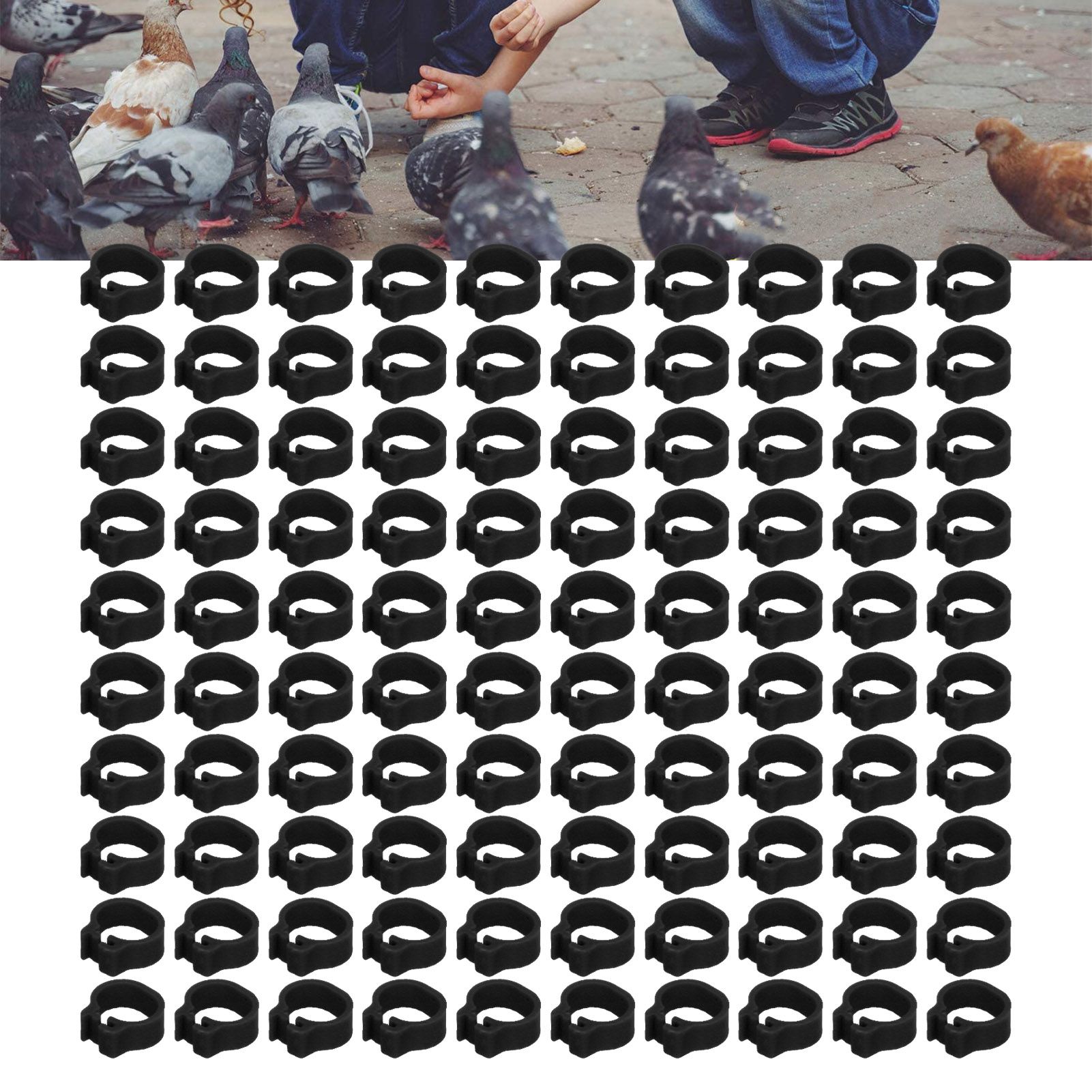 100PCS 8mm Pigeons Identification Leg Rings Poultry Leg Bands No Words Pigeons view 12
