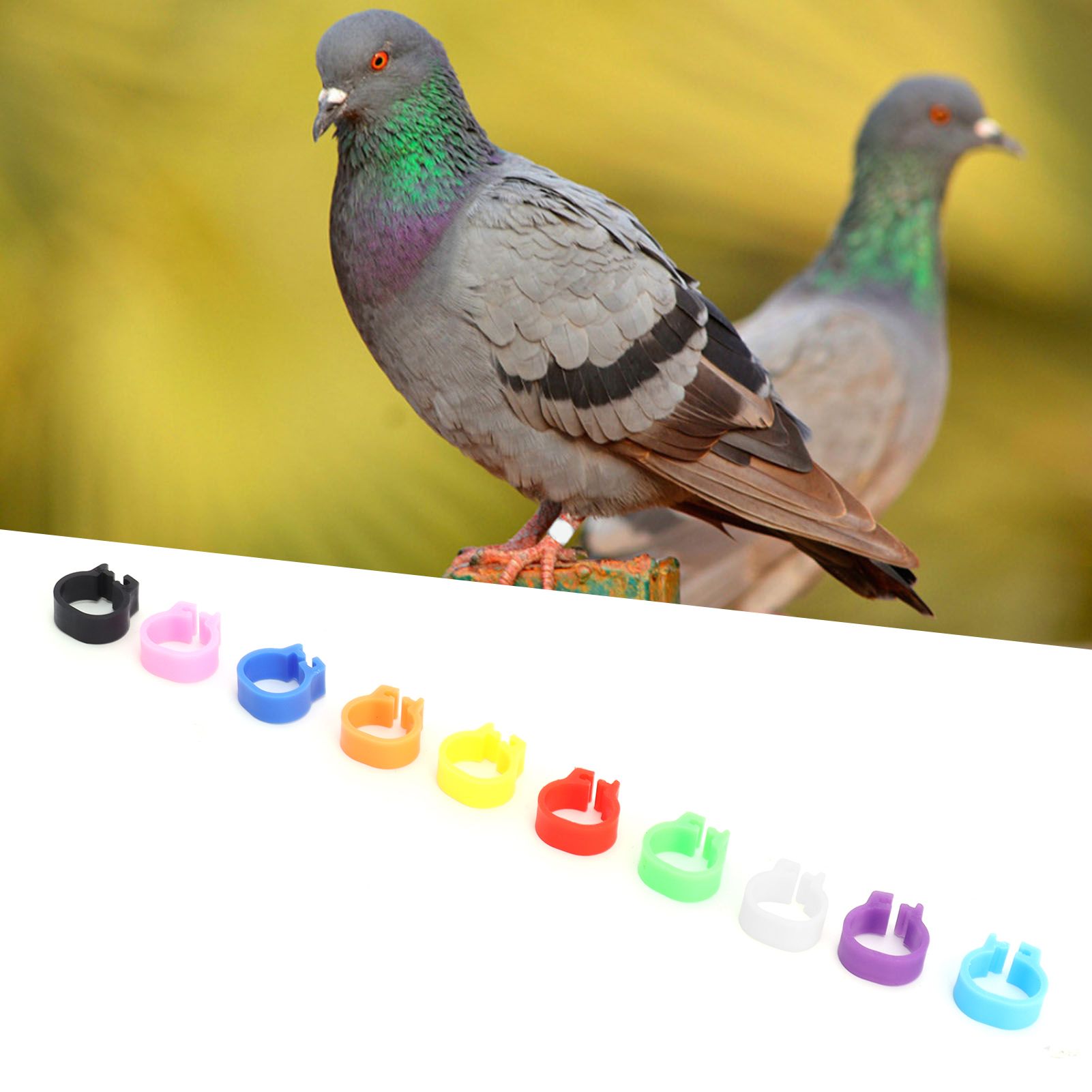 200PCS 8mm Pigeons Foot Ring Colorful Pigeons Leg Band Identification Rings No view 11