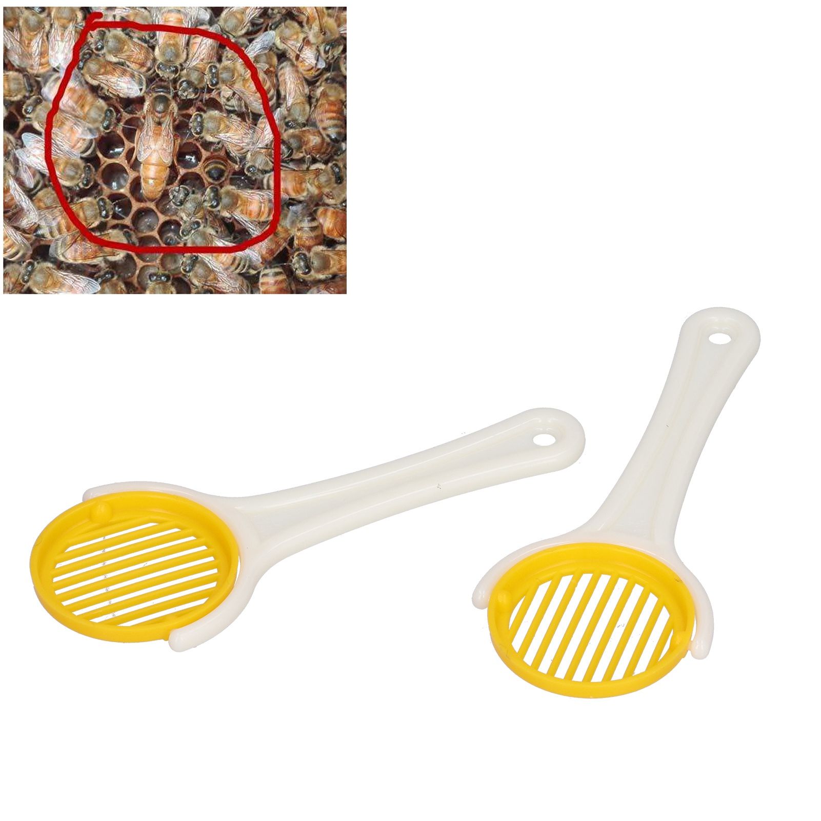 2Pcs Handheld Bee Queen Cage Plastic Bee Catcher Beekeeper Apiculture view 11