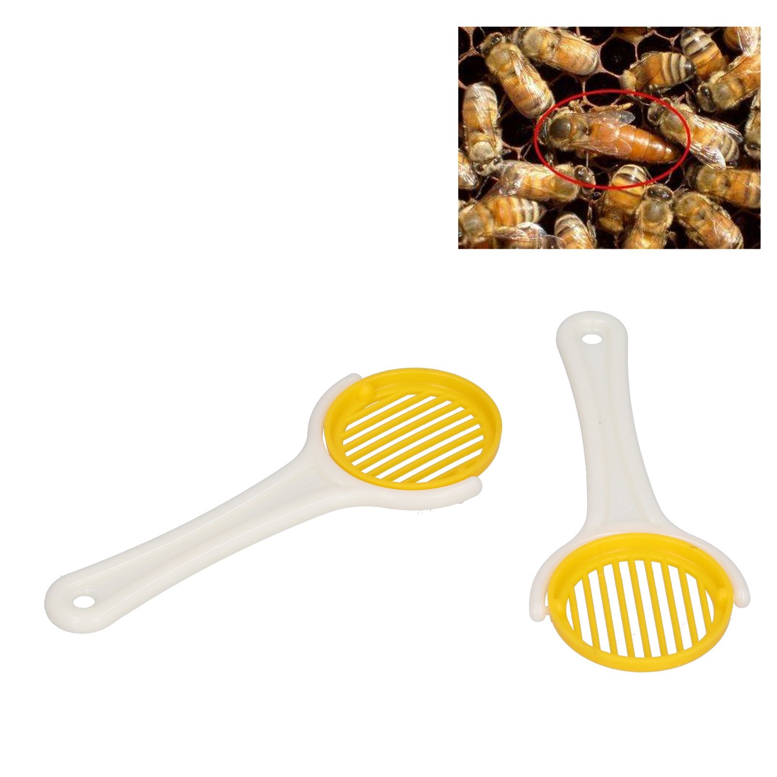 2Pcs Handheld Bee Queen Cage Plastic Bee Catcher Beekeeper Apiculture view 12