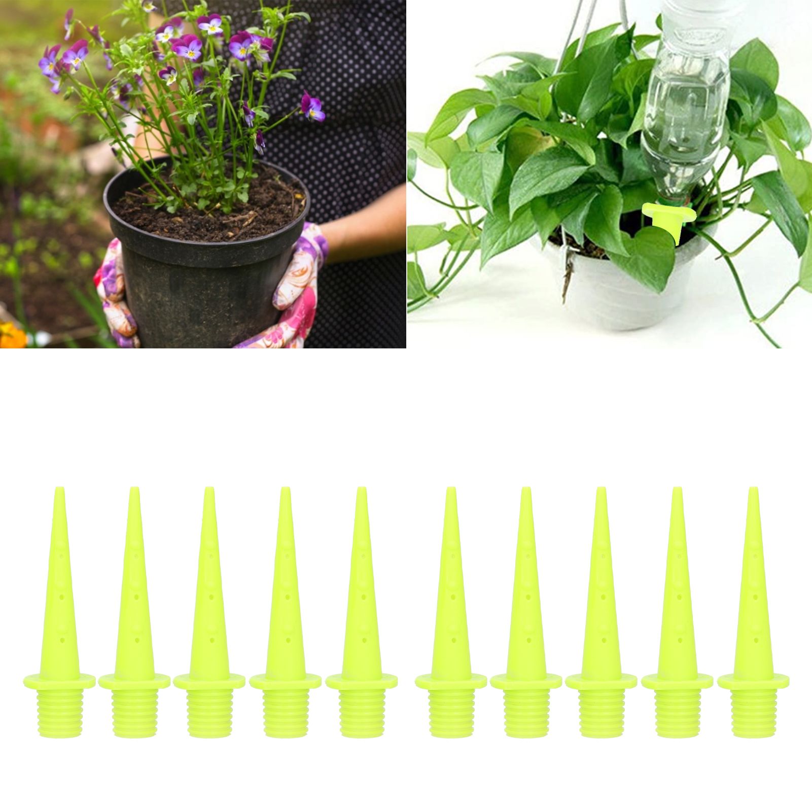 10PCS Automatic Irrigation Watering Device Garden Flower Plant Watering Spikes view 12