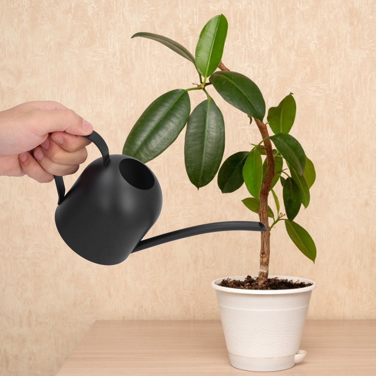 Watering Can 500ML Stainless Steel Long Spout Watering Pot for Indoor Outdoor view 12